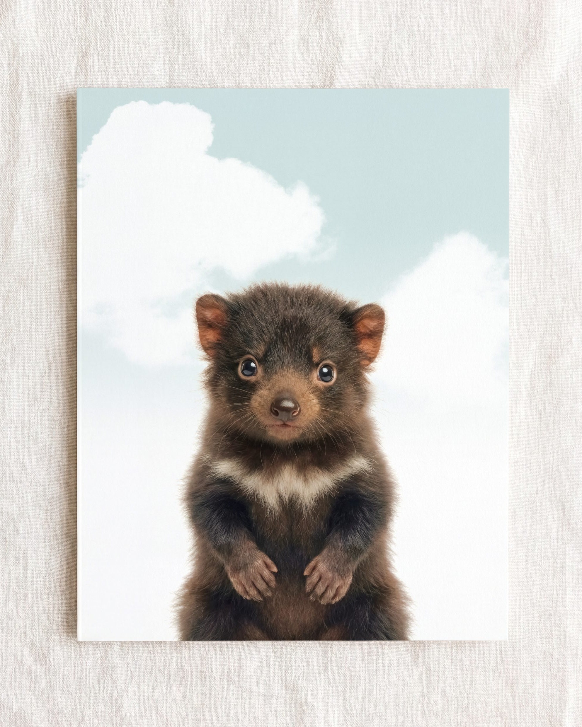 Baby Tasmanian Devil