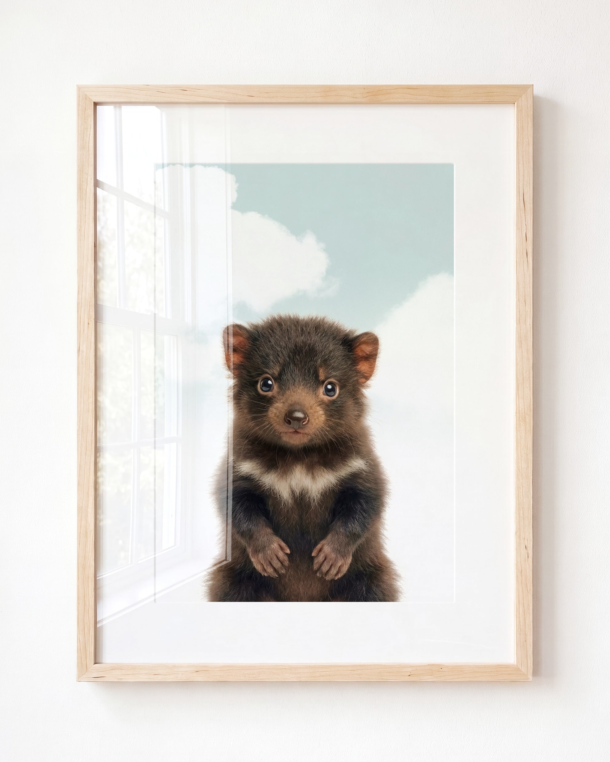 Baby Tasmanian Devil