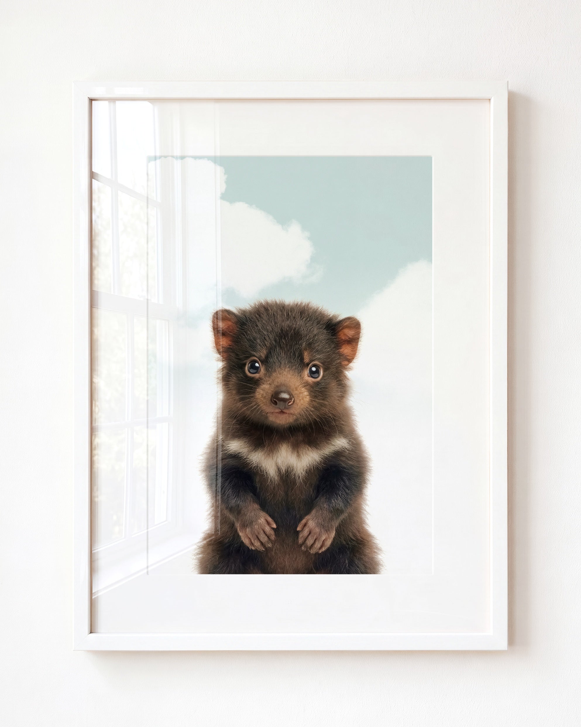 Baby Tasmanian Devil
