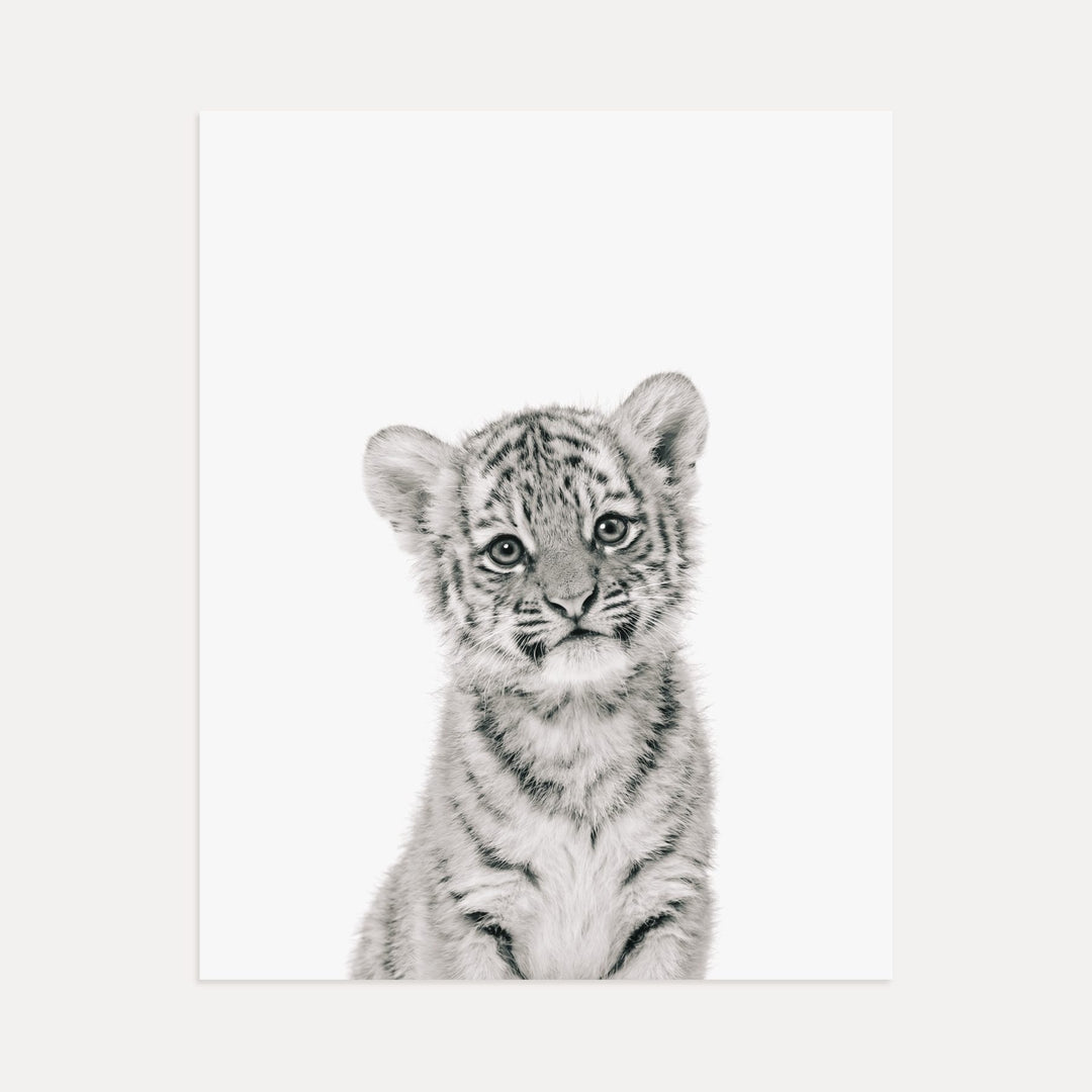 Baby Tiger No. 1