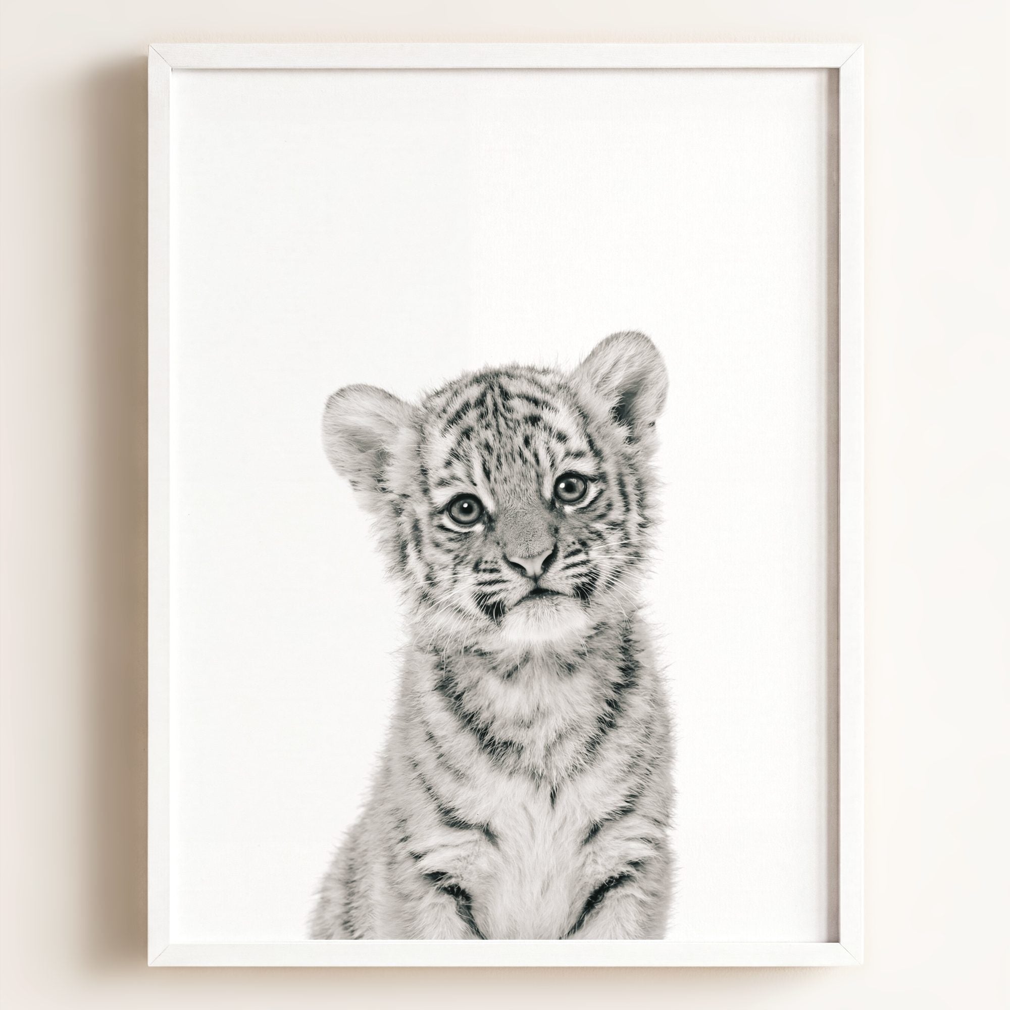 Baby Tiger No. 1