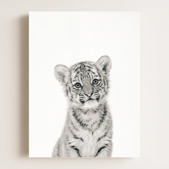 Baby Tiger No. 1