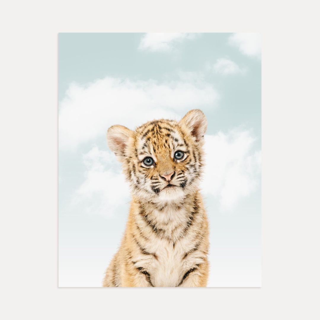 Baby Tiger No. 1