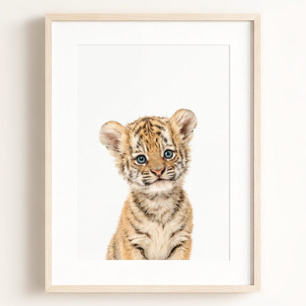 Baby Tiger No. 1