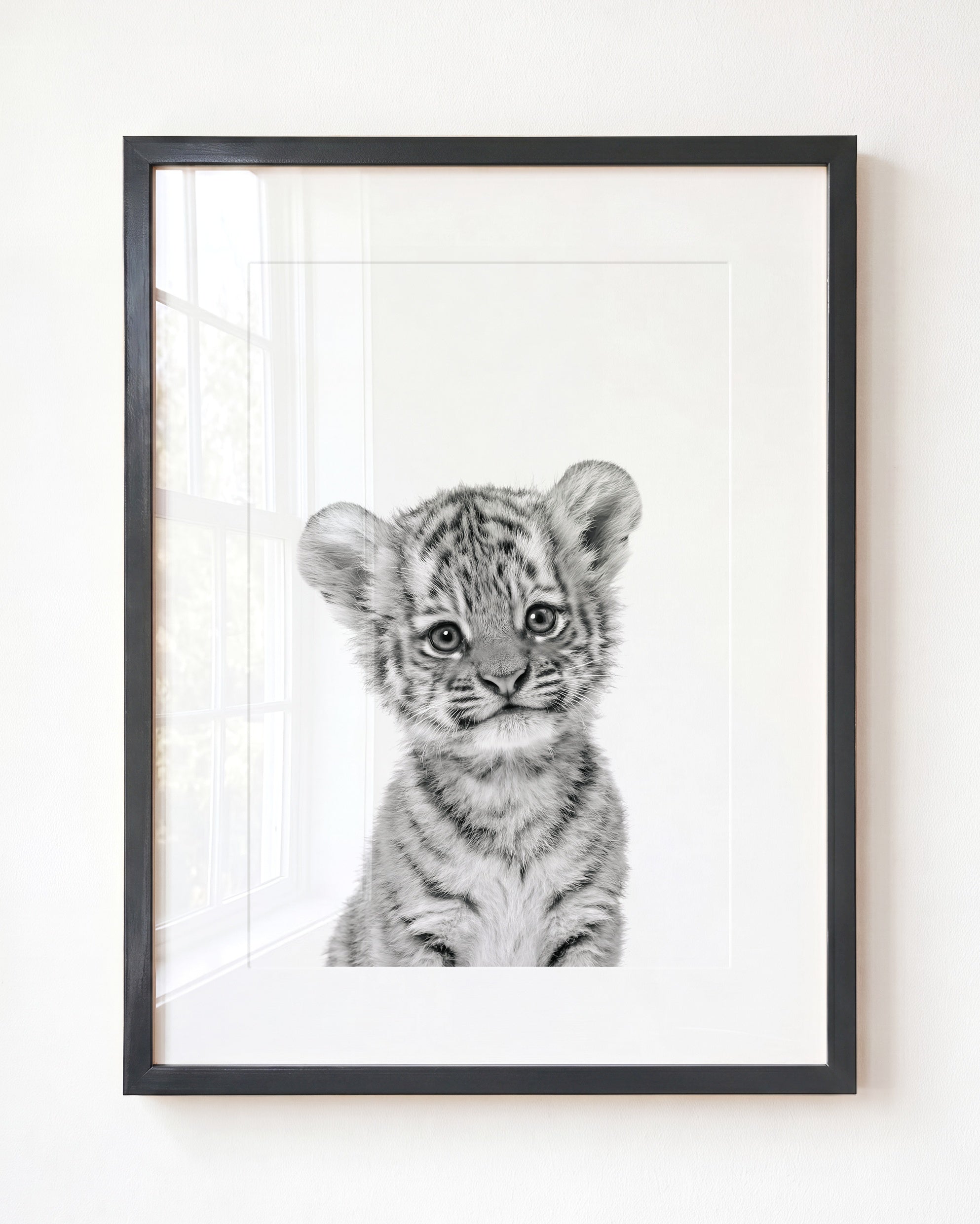 Baby Tiger