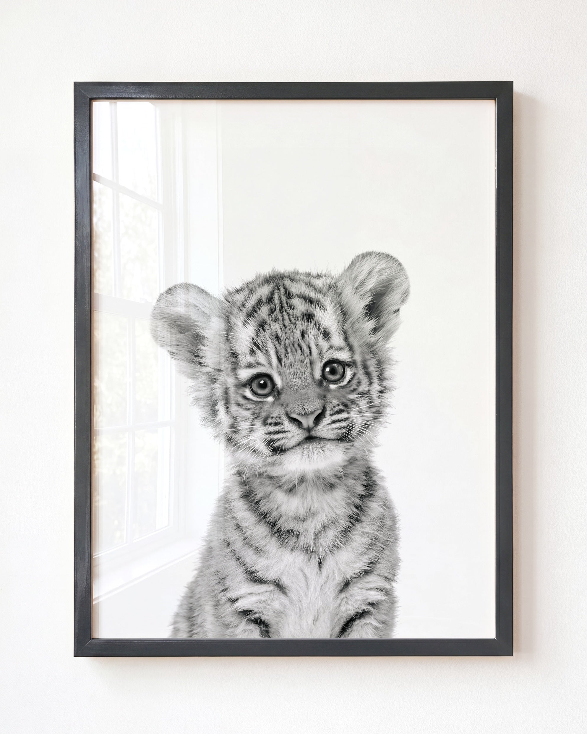 Baby Tiger