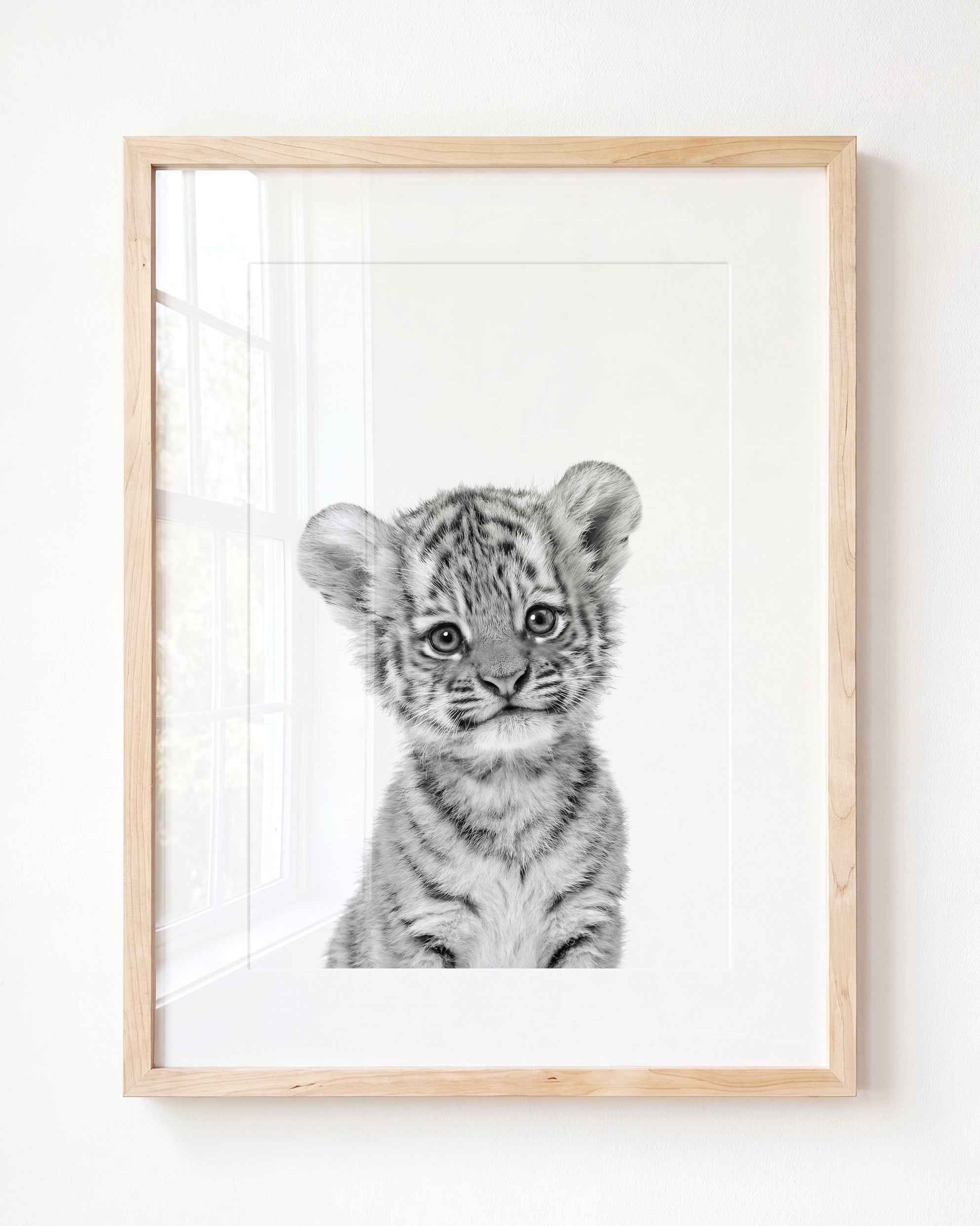 Baby Tiger