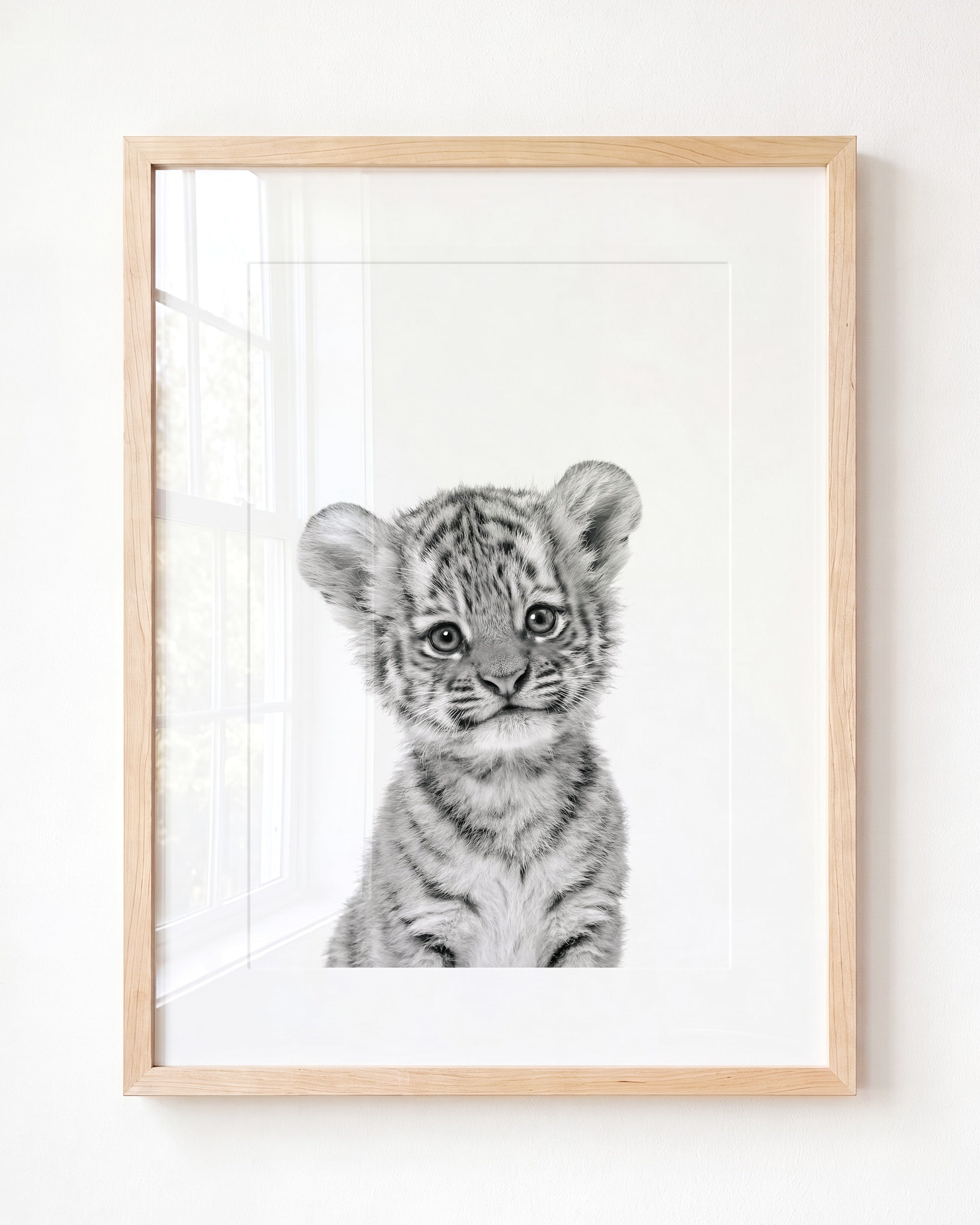 Baby Tiger