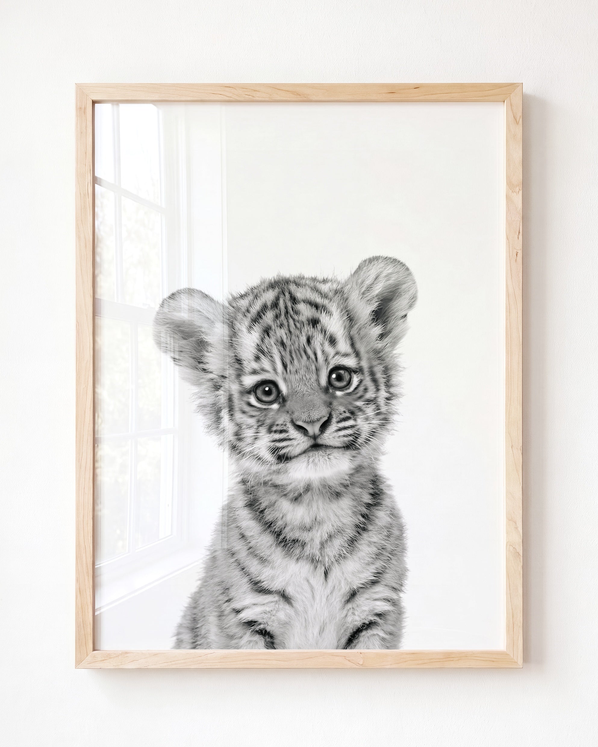Baby Tiger