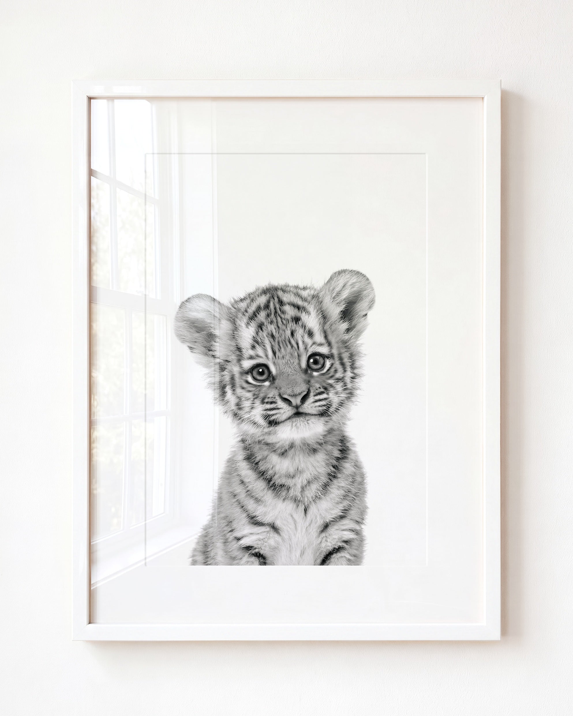Baby Tiger