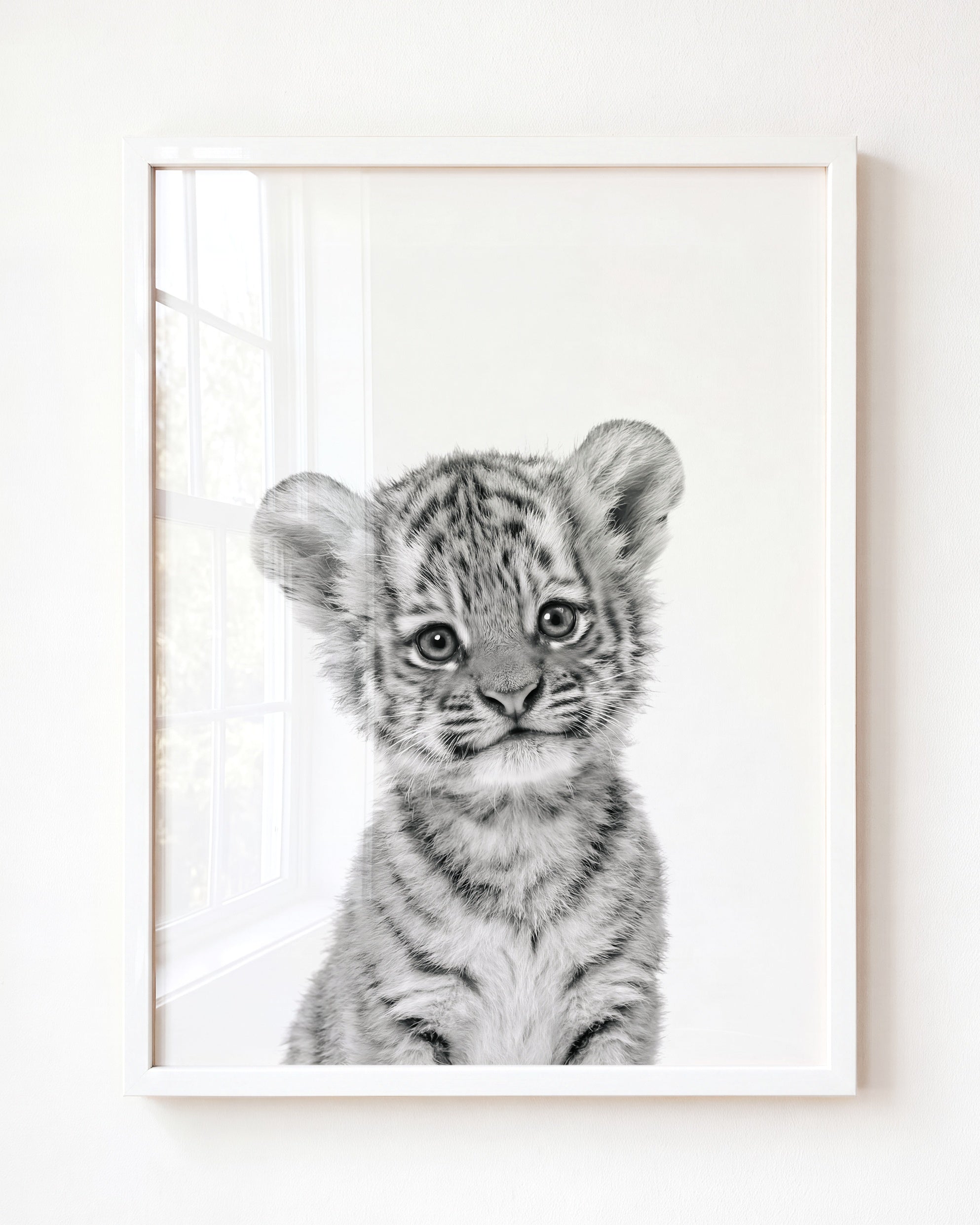 Baby Tiger