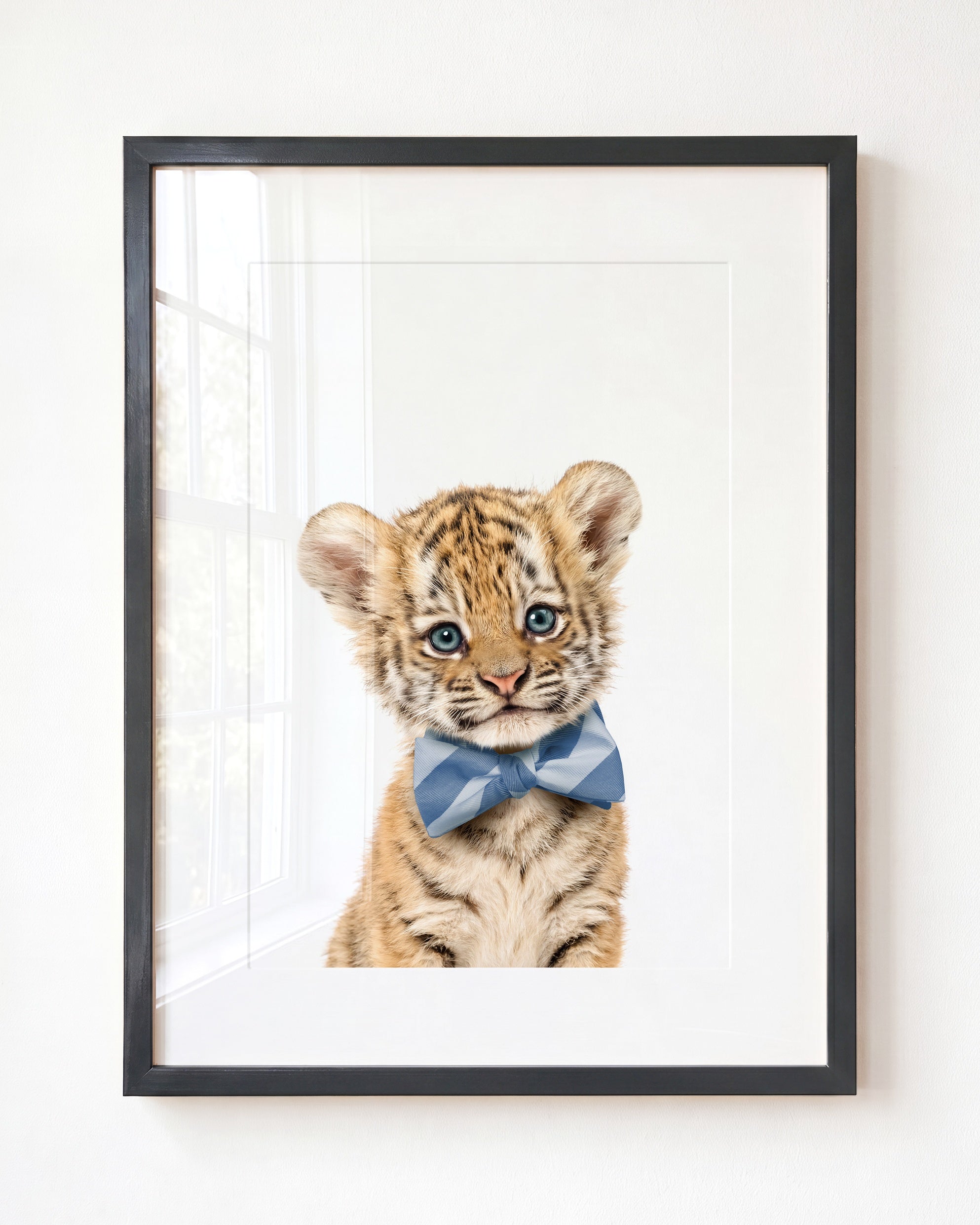 Baby Tiger
