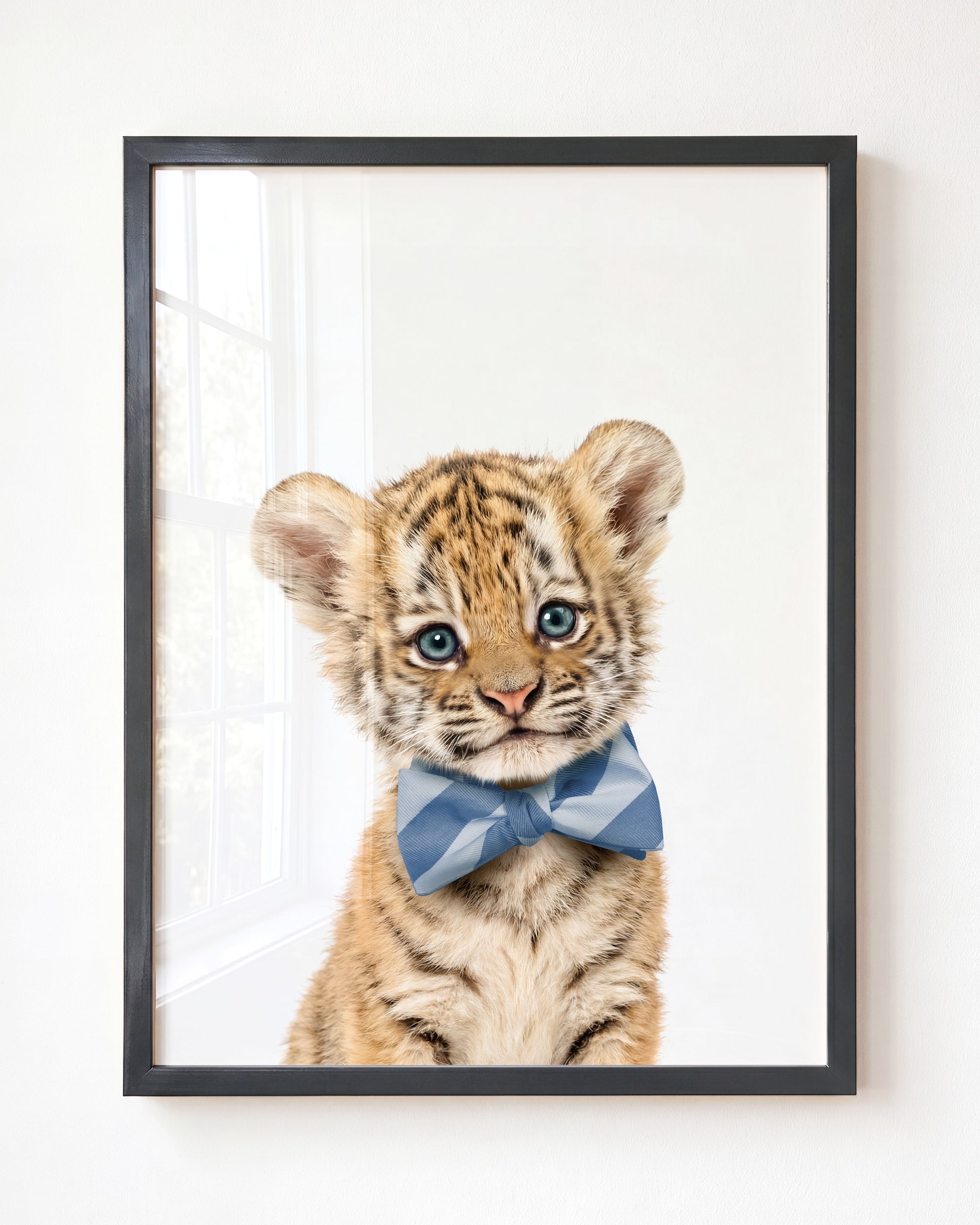 Baby Tiger
