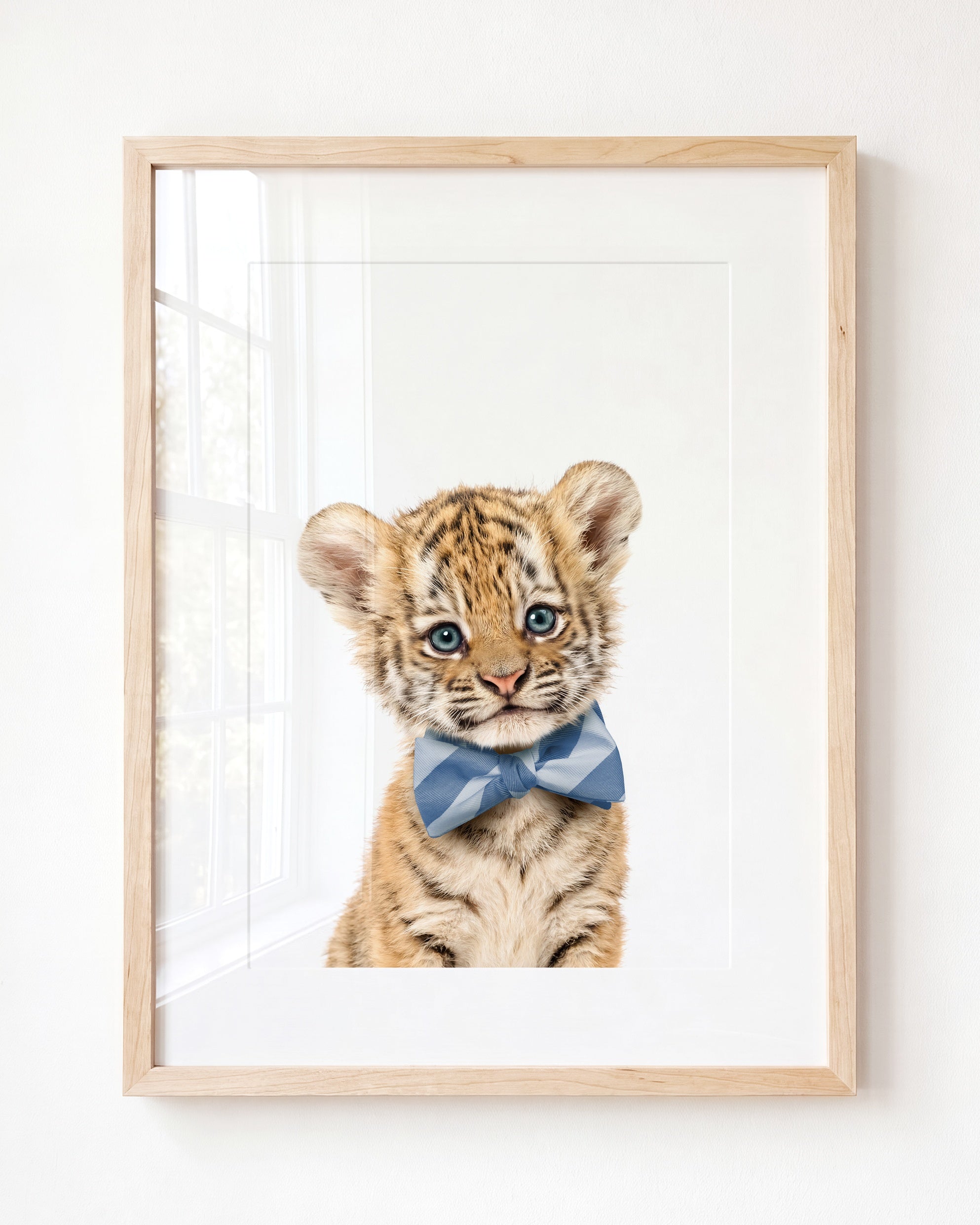 Baby Tiger