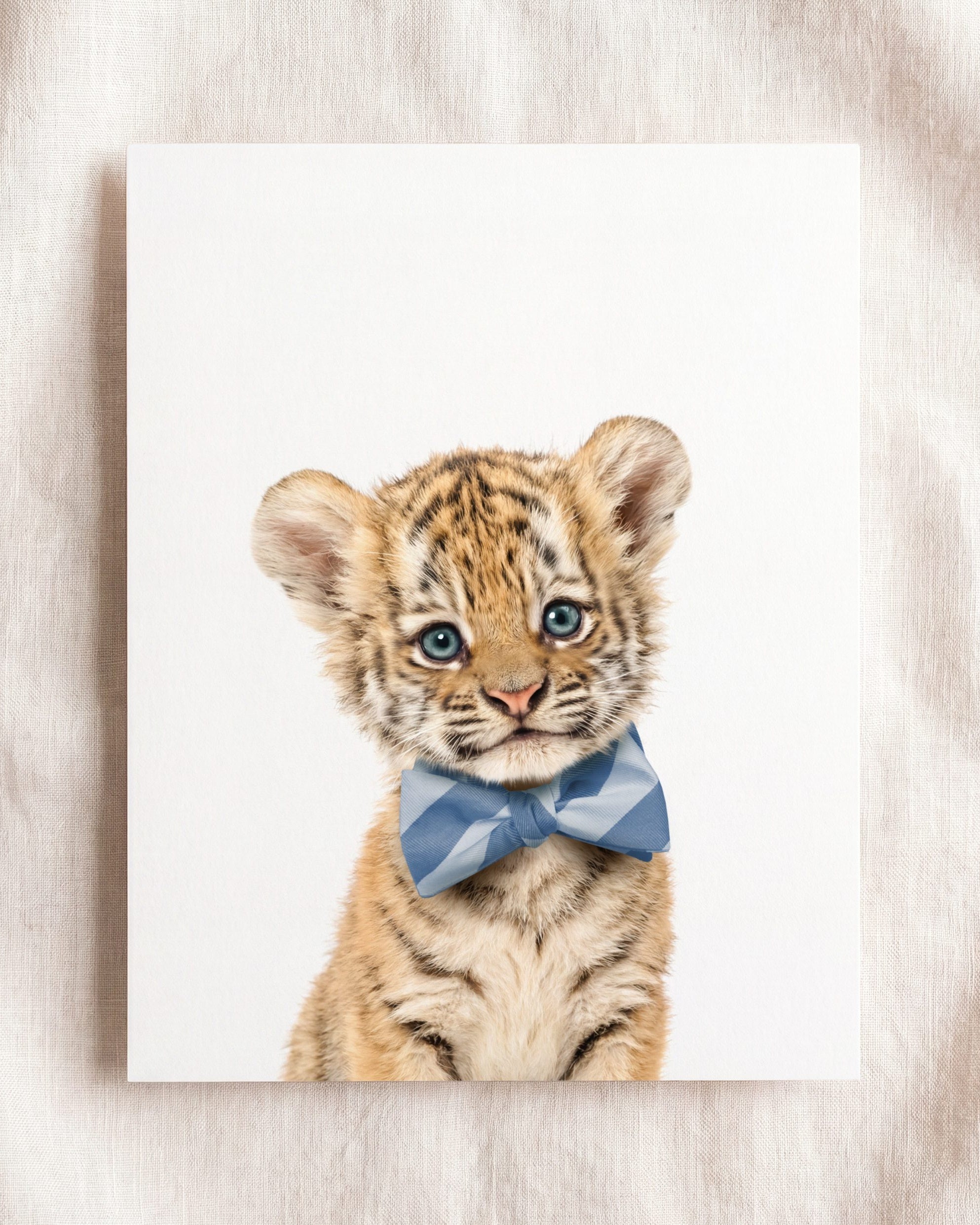 Baby Tiger