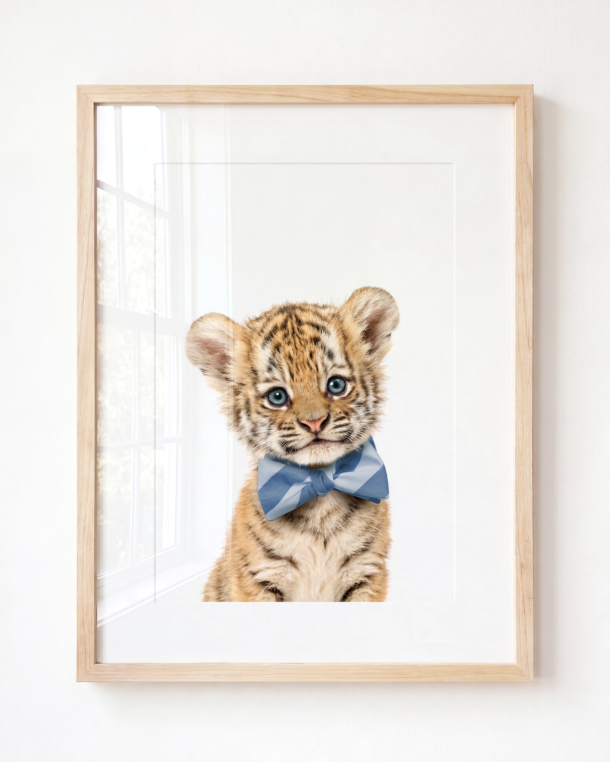 Baby Tiger