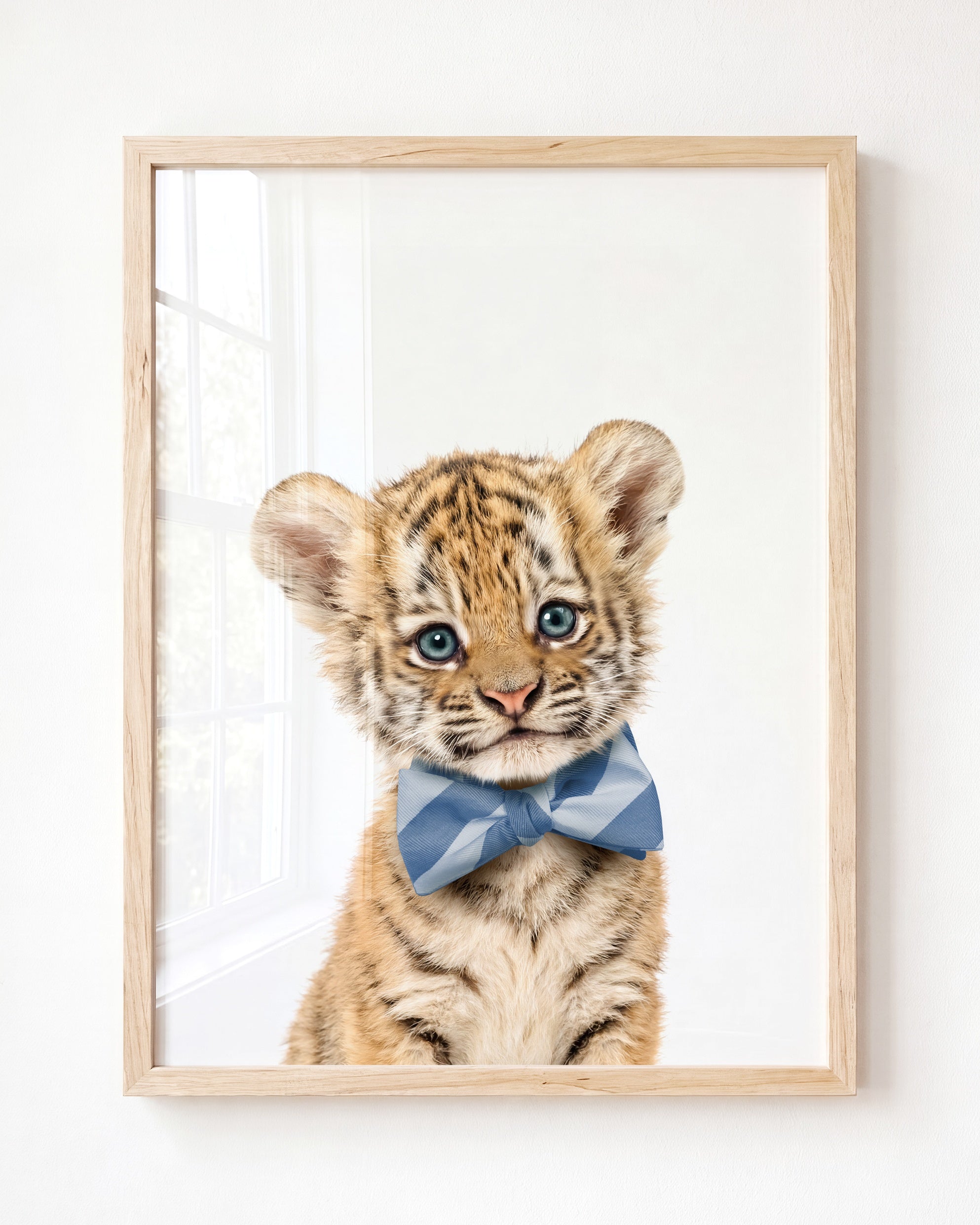Baby Tiger