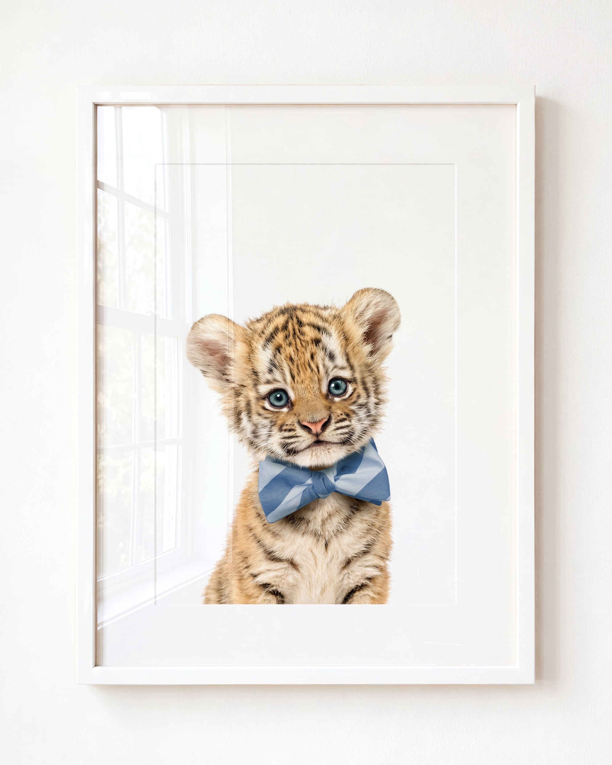 Baby Tiger