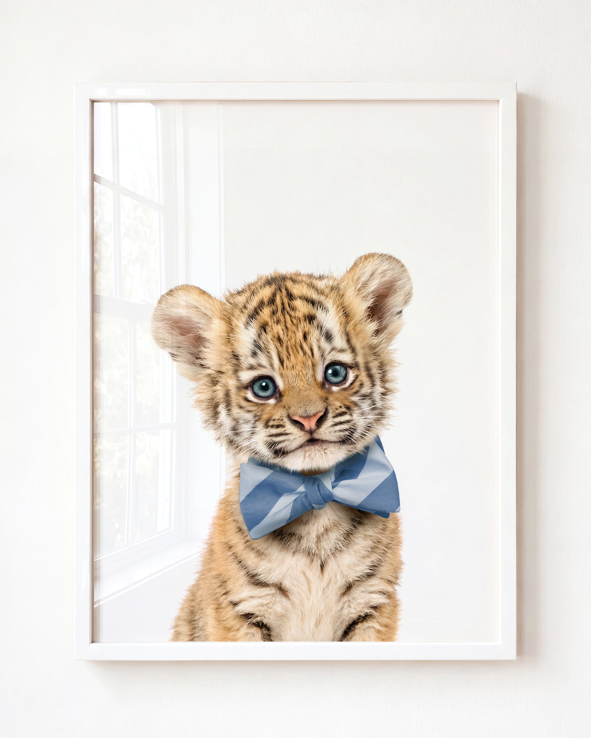 Baby Tiger