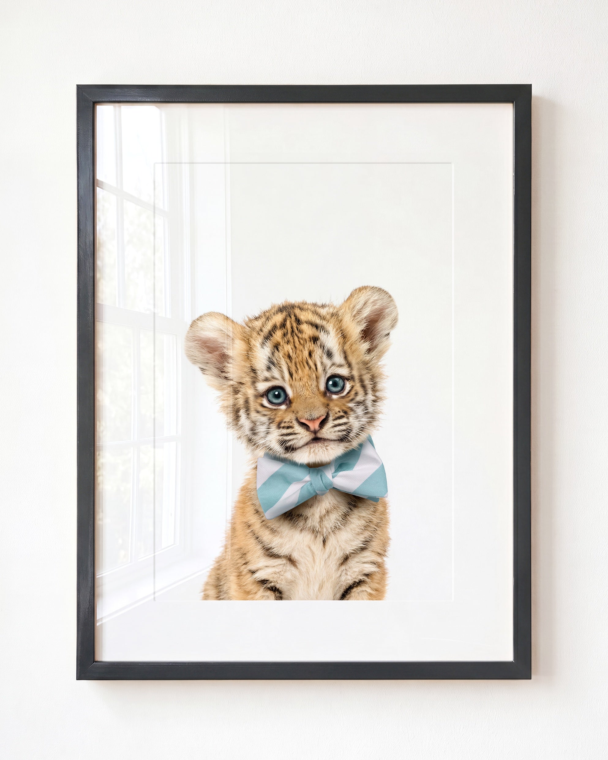 Baby Tiger