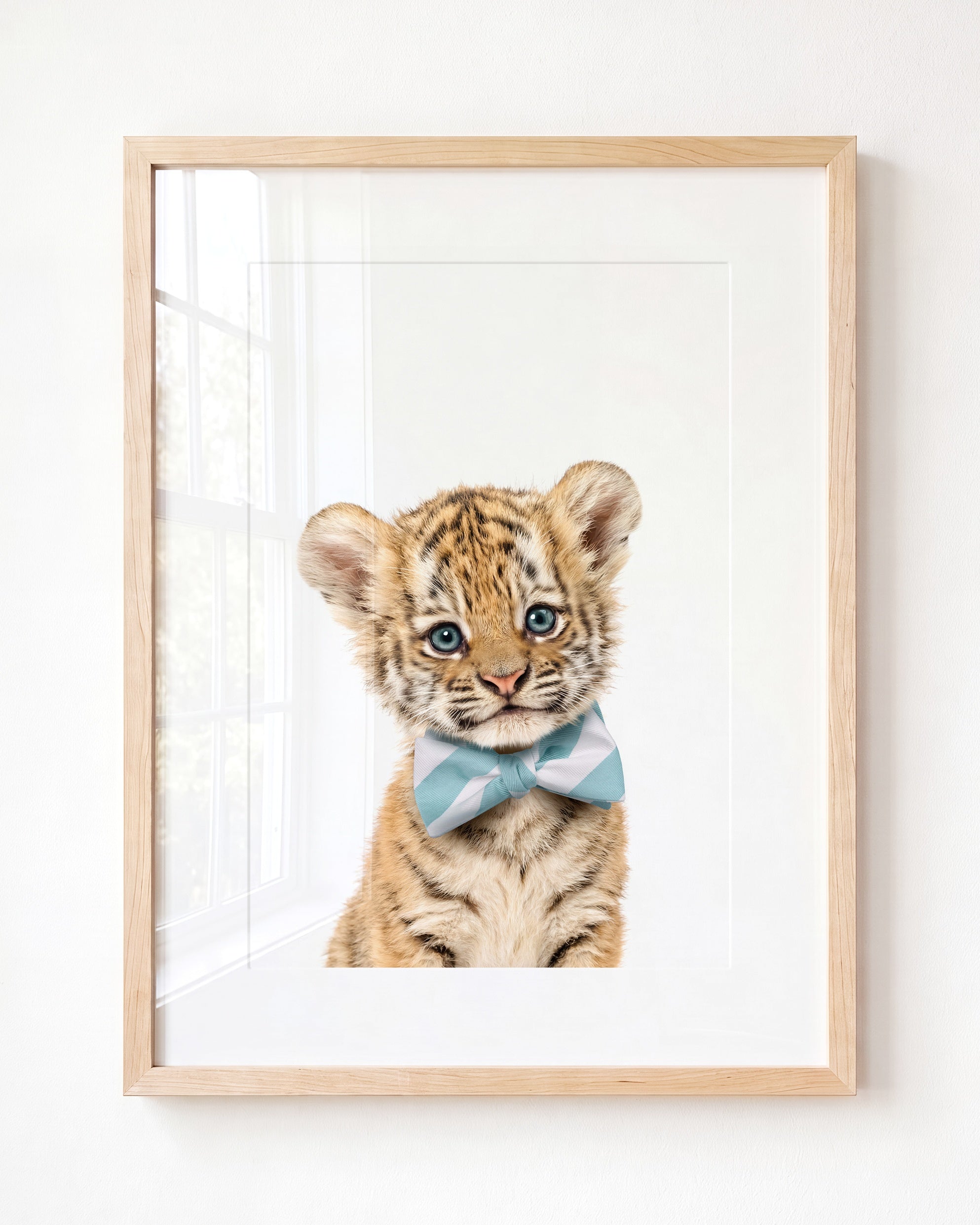 Baby Tiger