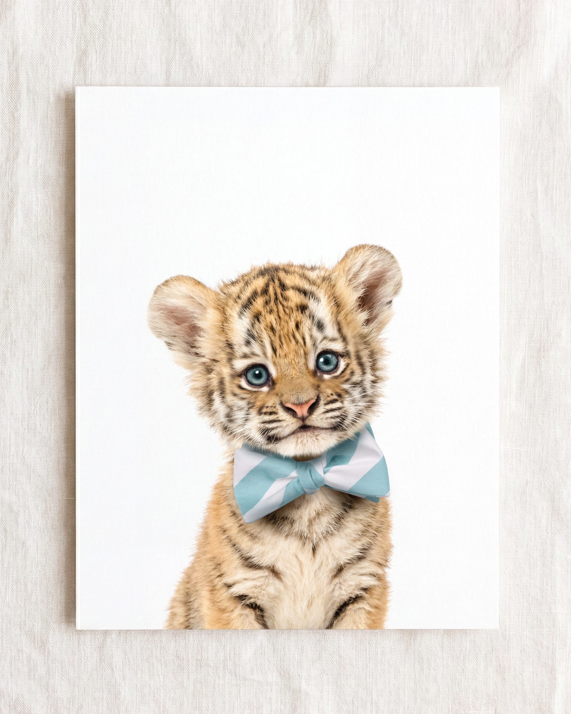 Baby Tiger