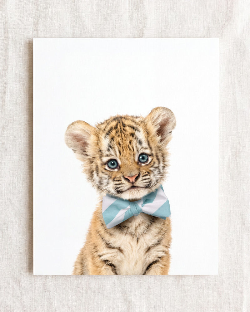 Bow Tie