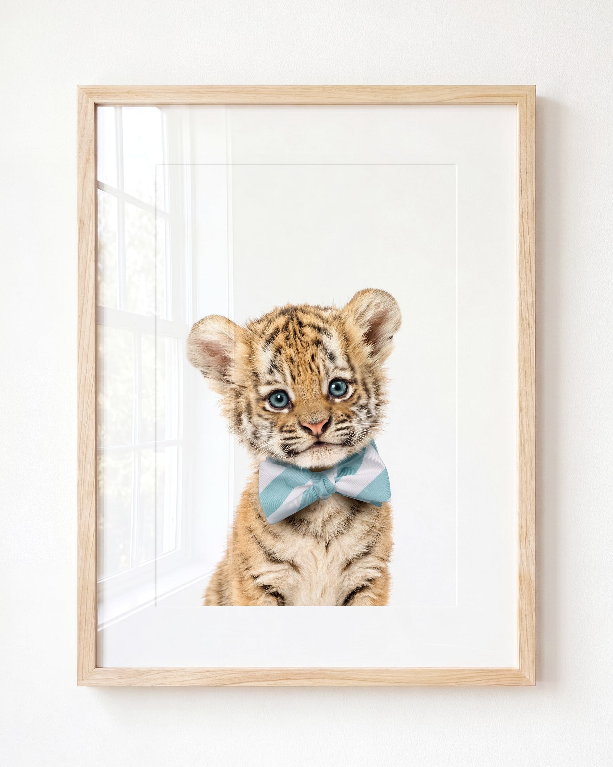 Baby Tiger