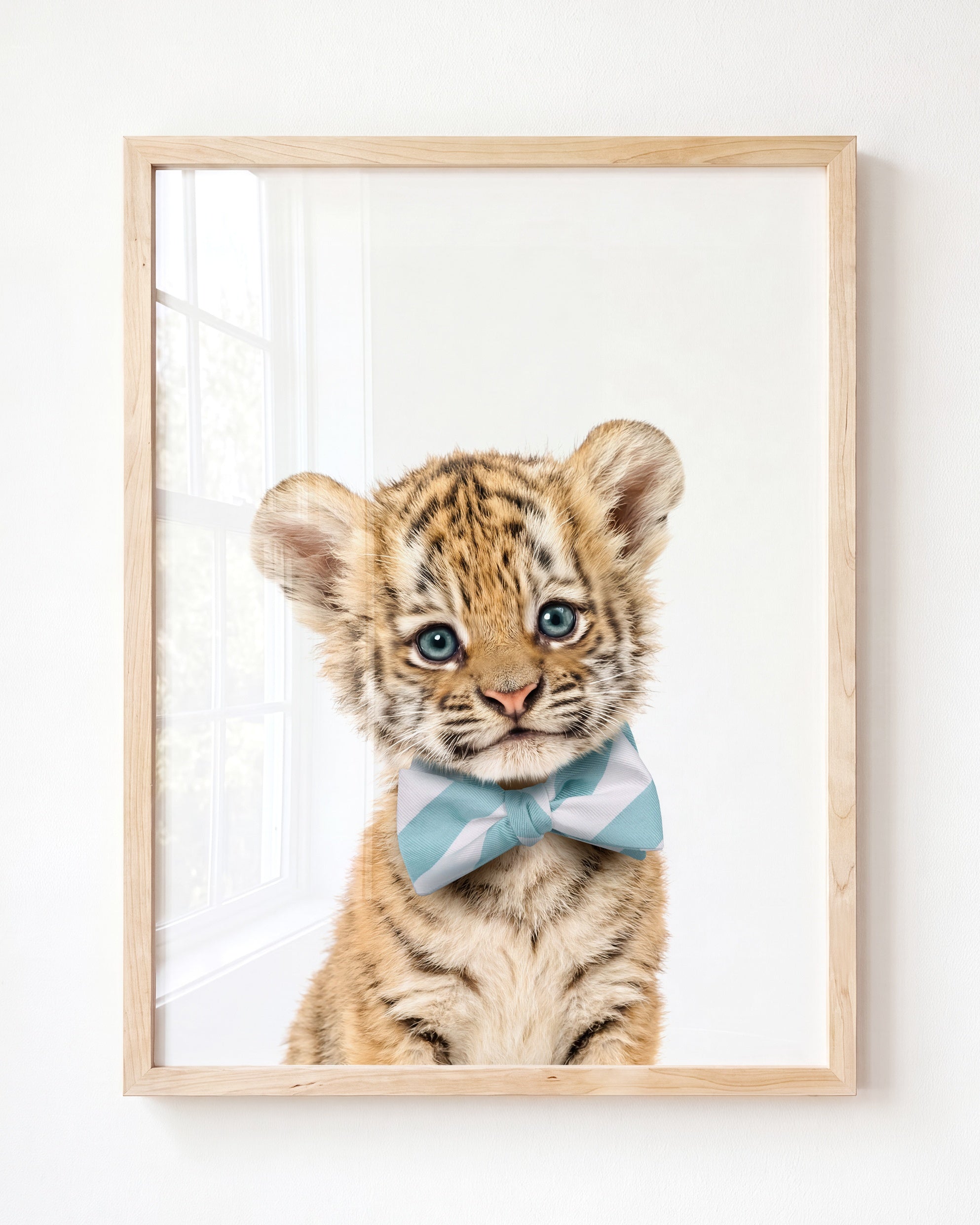 Baby Tiger