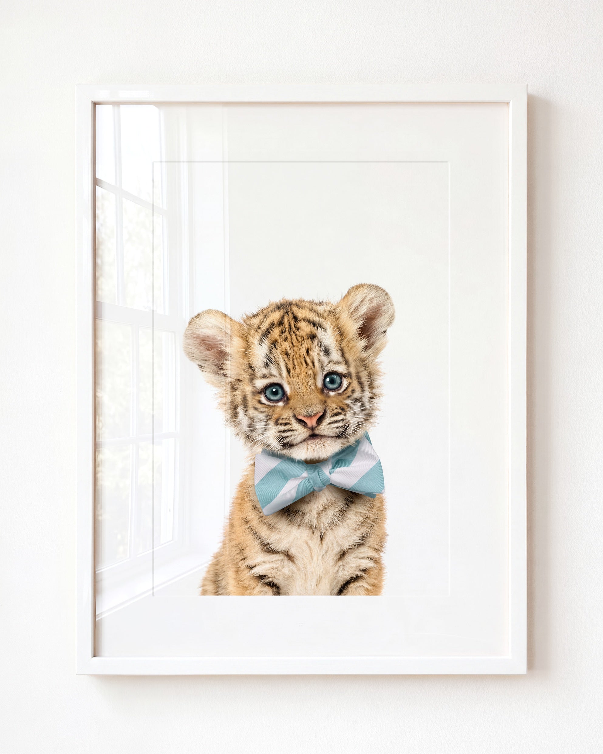 Baby Tiger