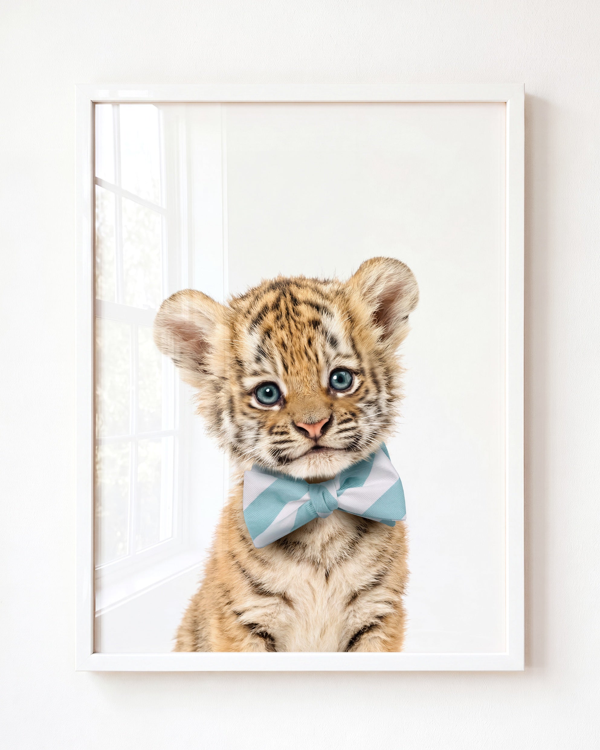 Baby Tiger