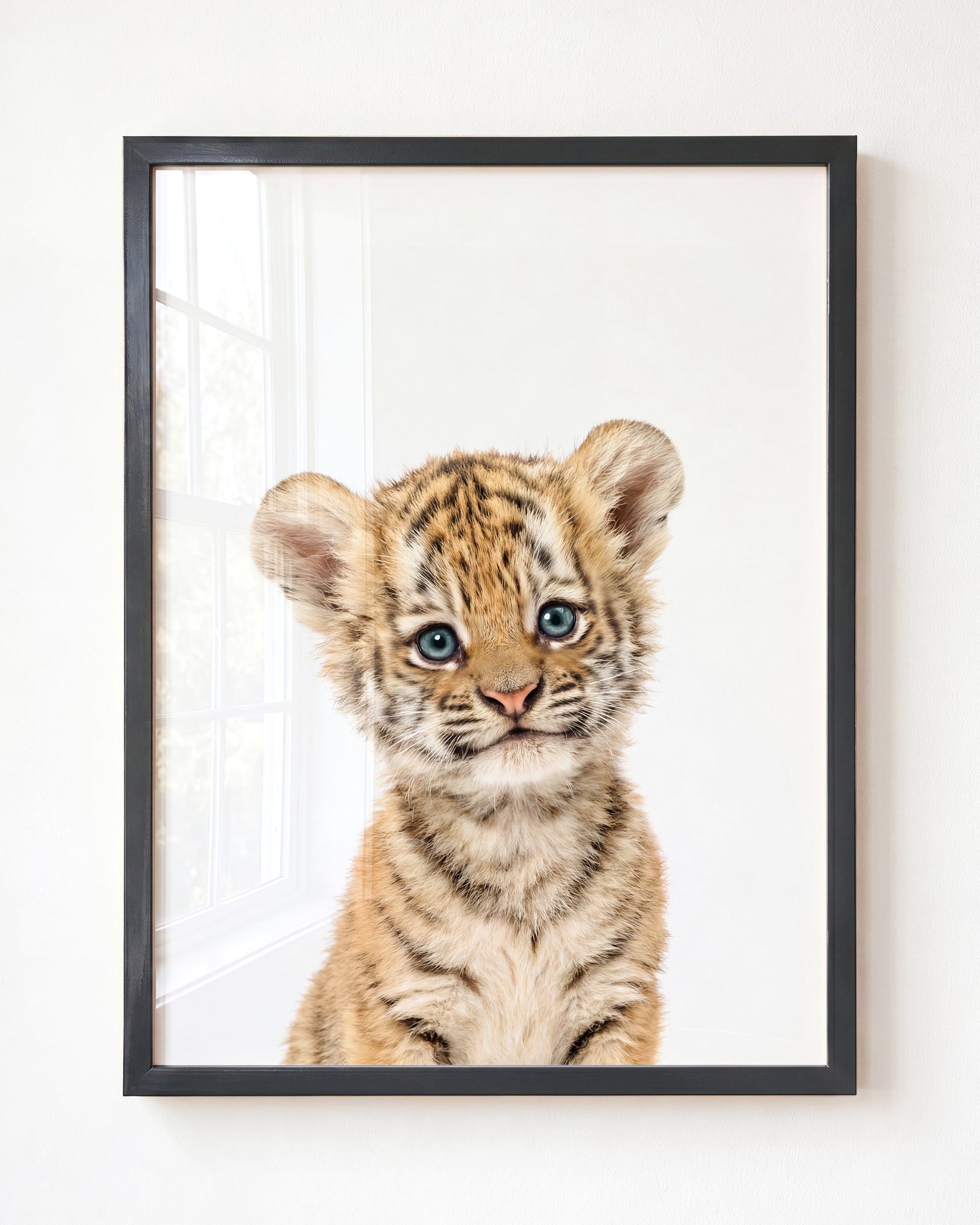 Baby Tiger