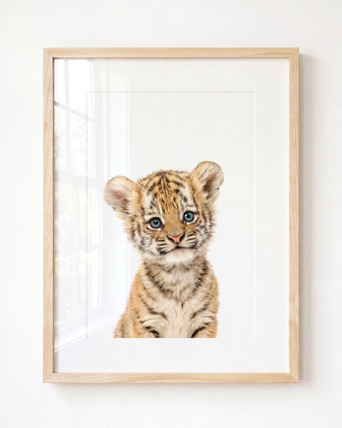 Baby Tiger