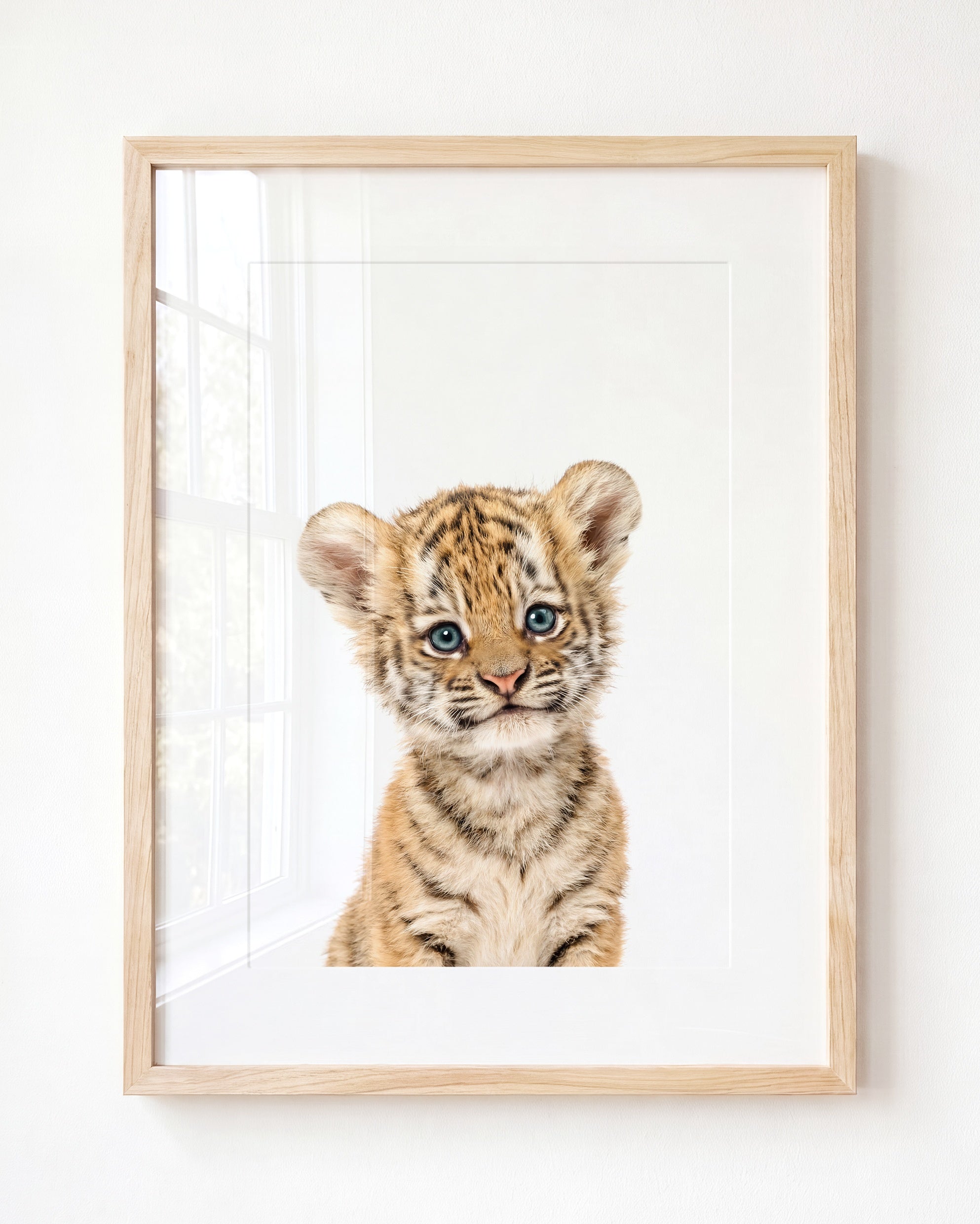 Baby Tiger