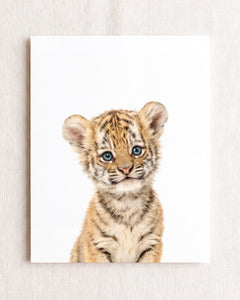 Baby Tiger
