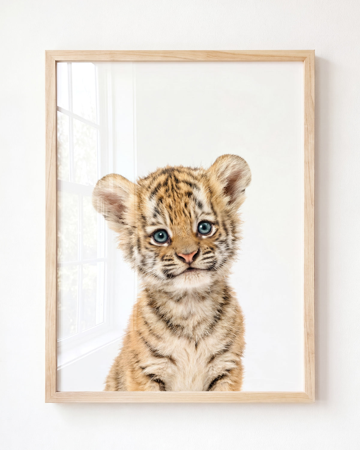 Baby Tiger — Framed