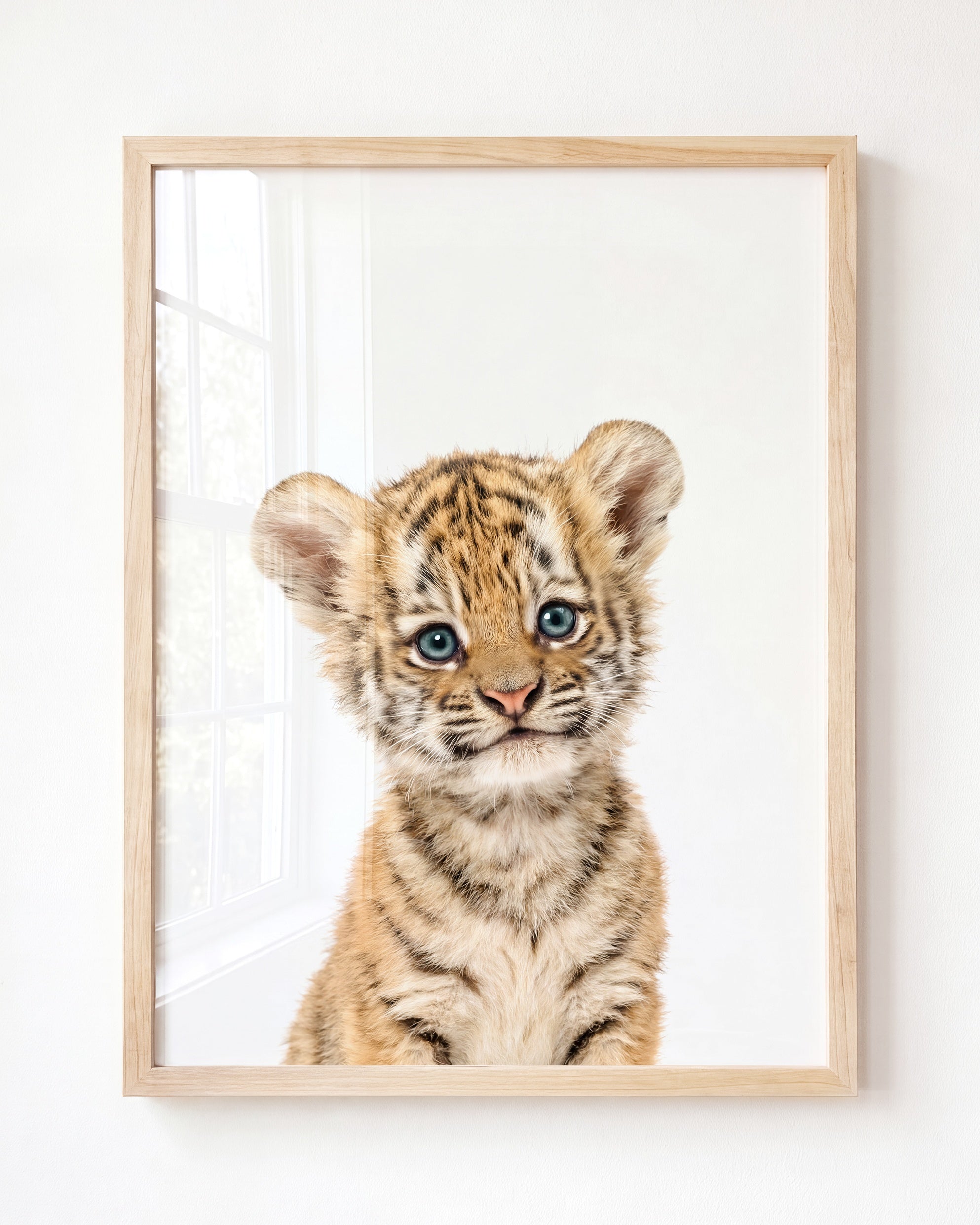 Baby Tiger
