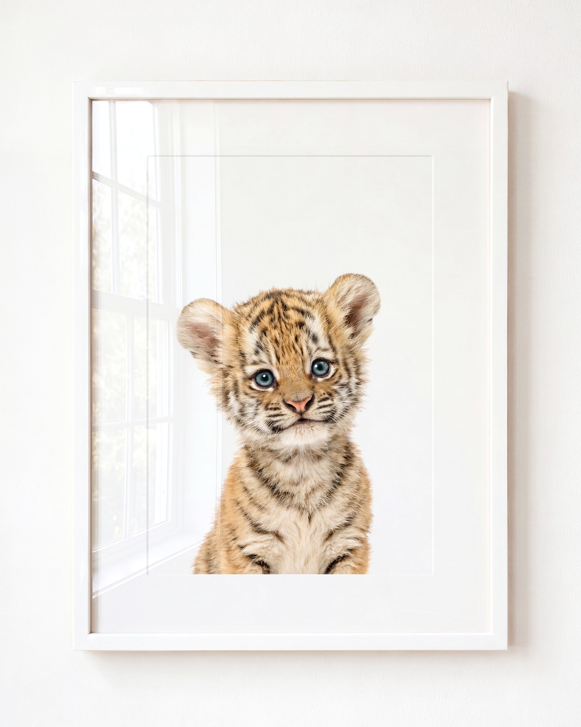 Baby Tiger