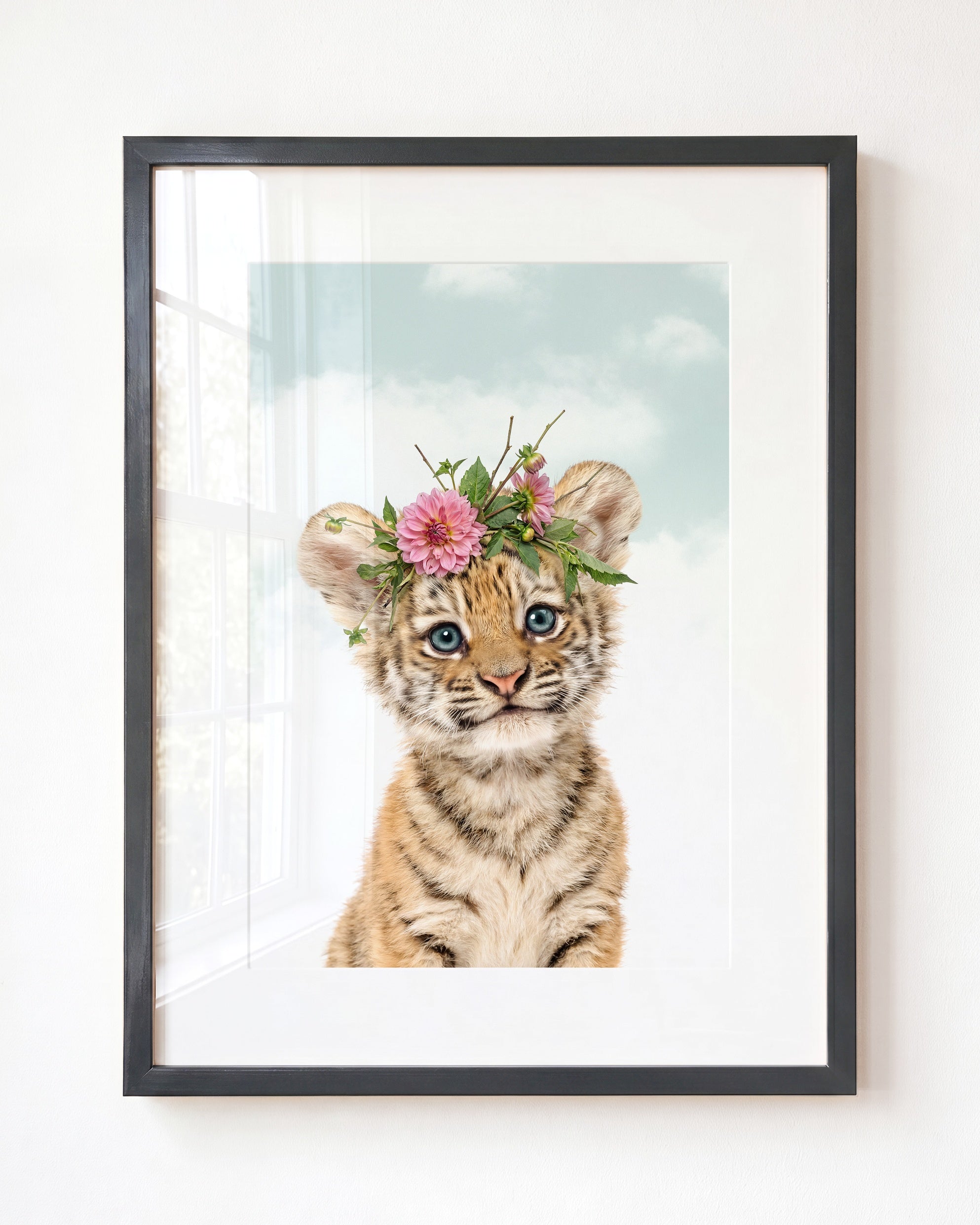 Baby Tiger