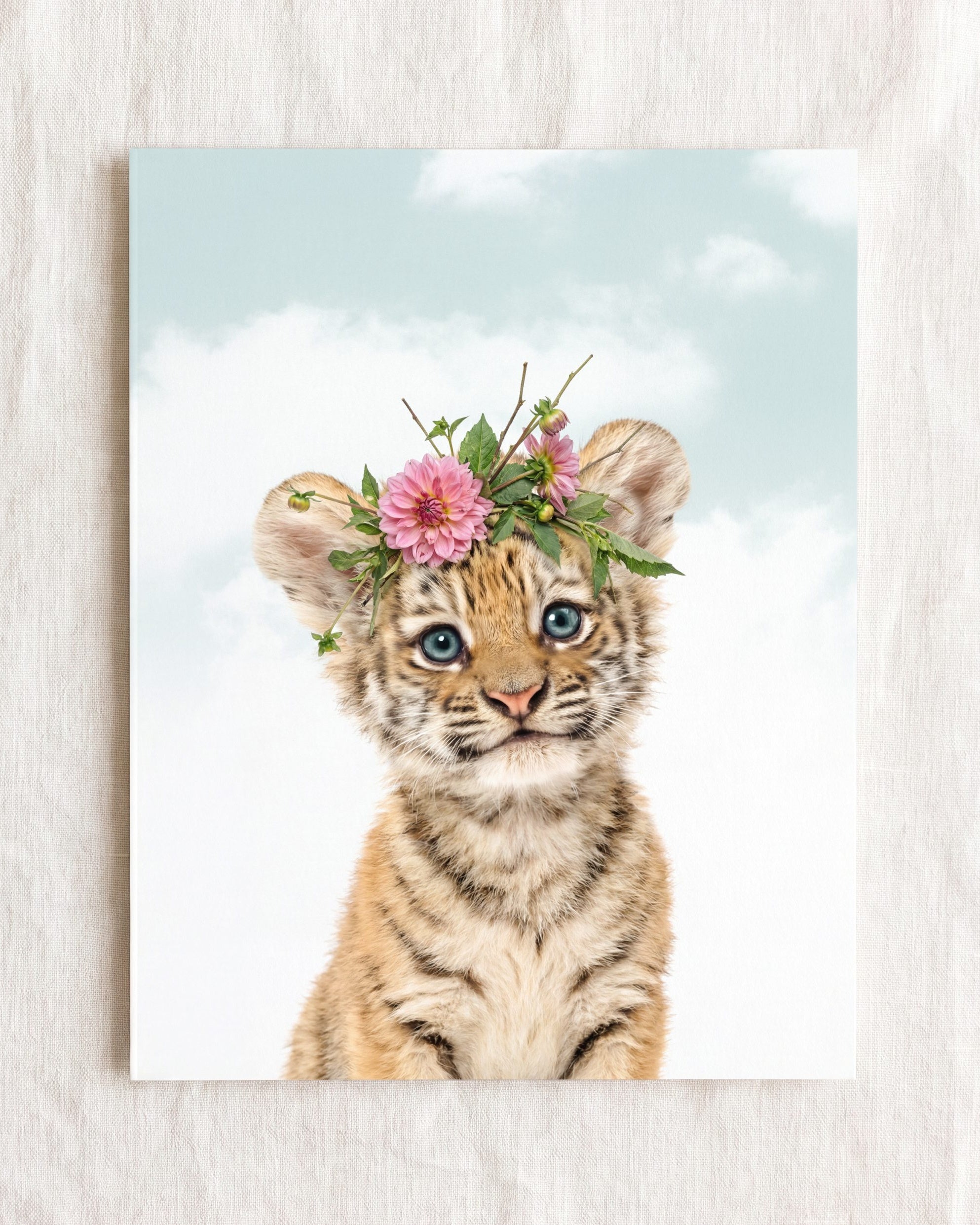 Baby Tiger