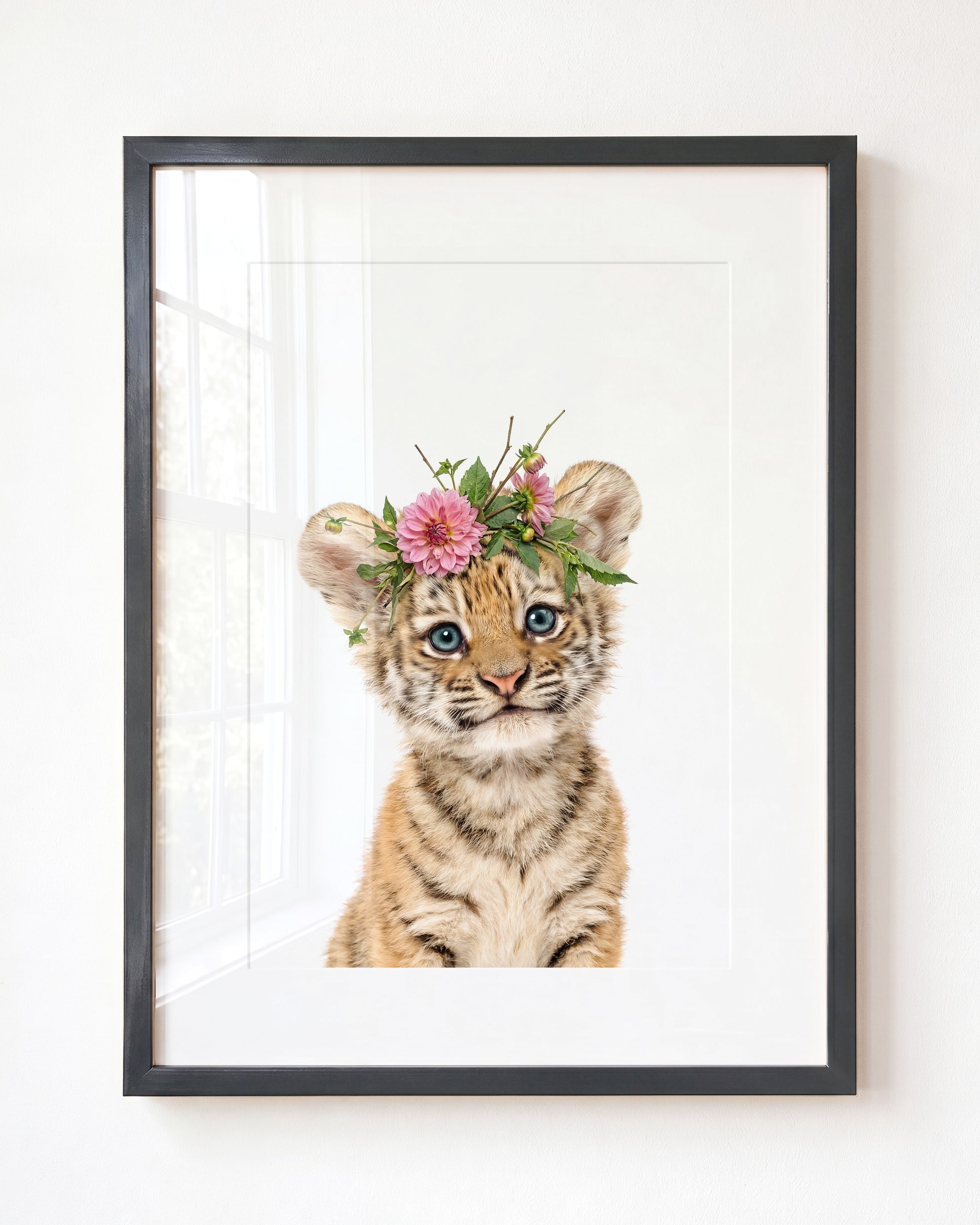 Baby Tiger