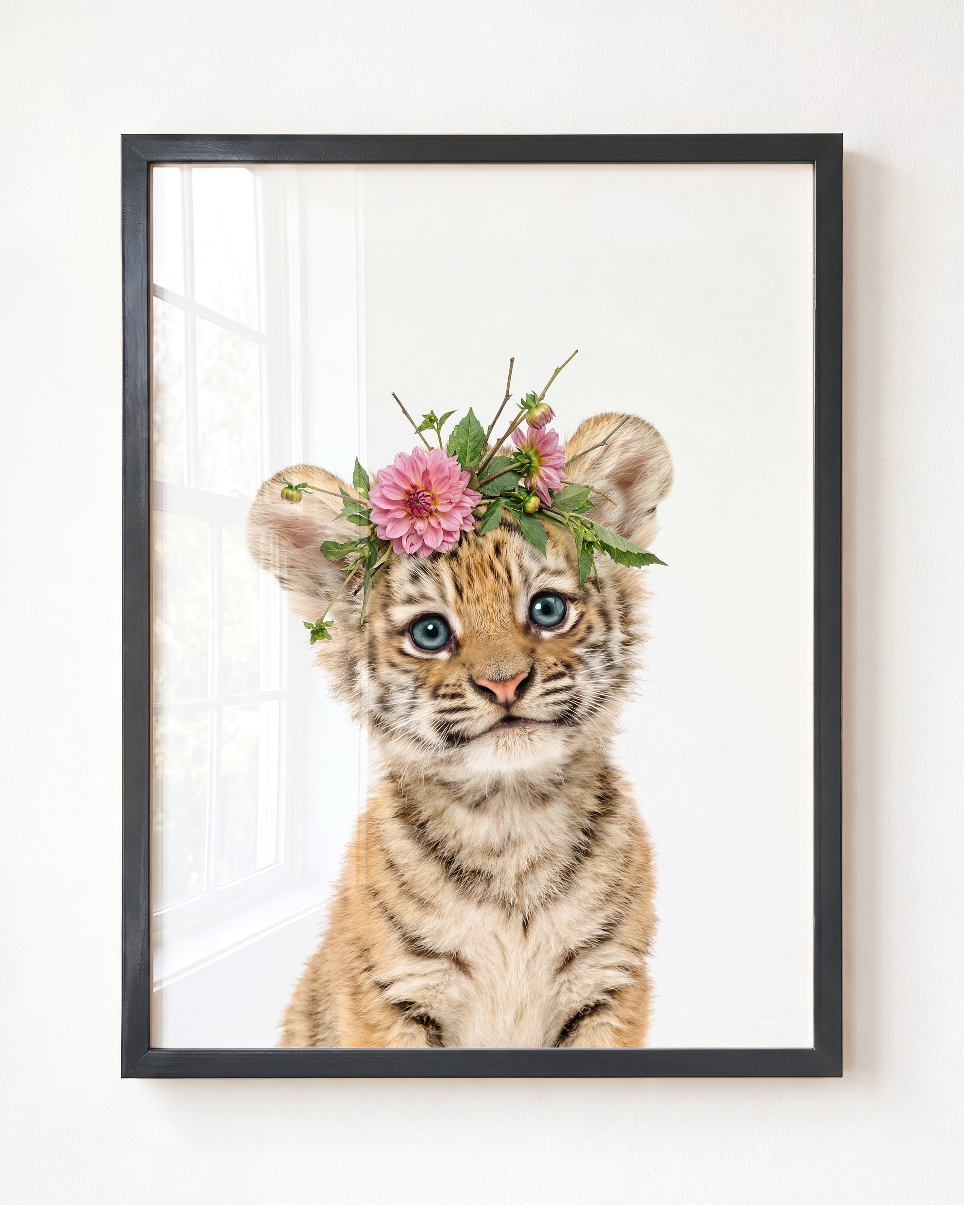 Baby Tiger