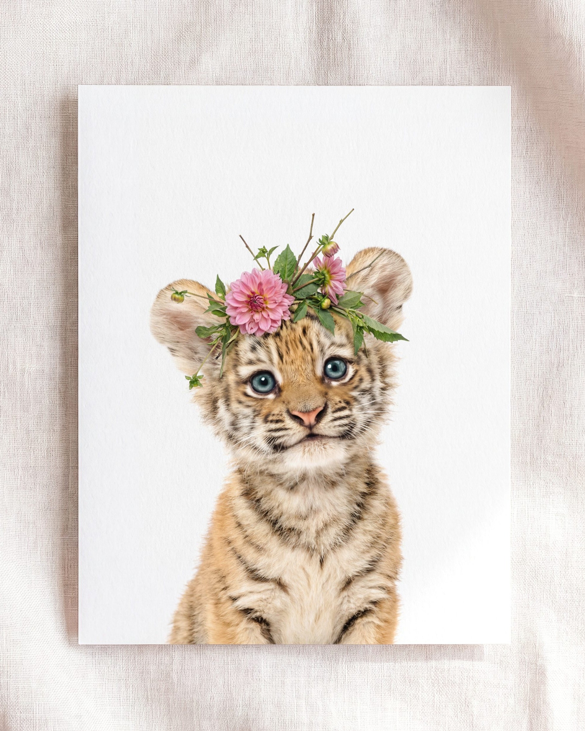 Baby Tiger