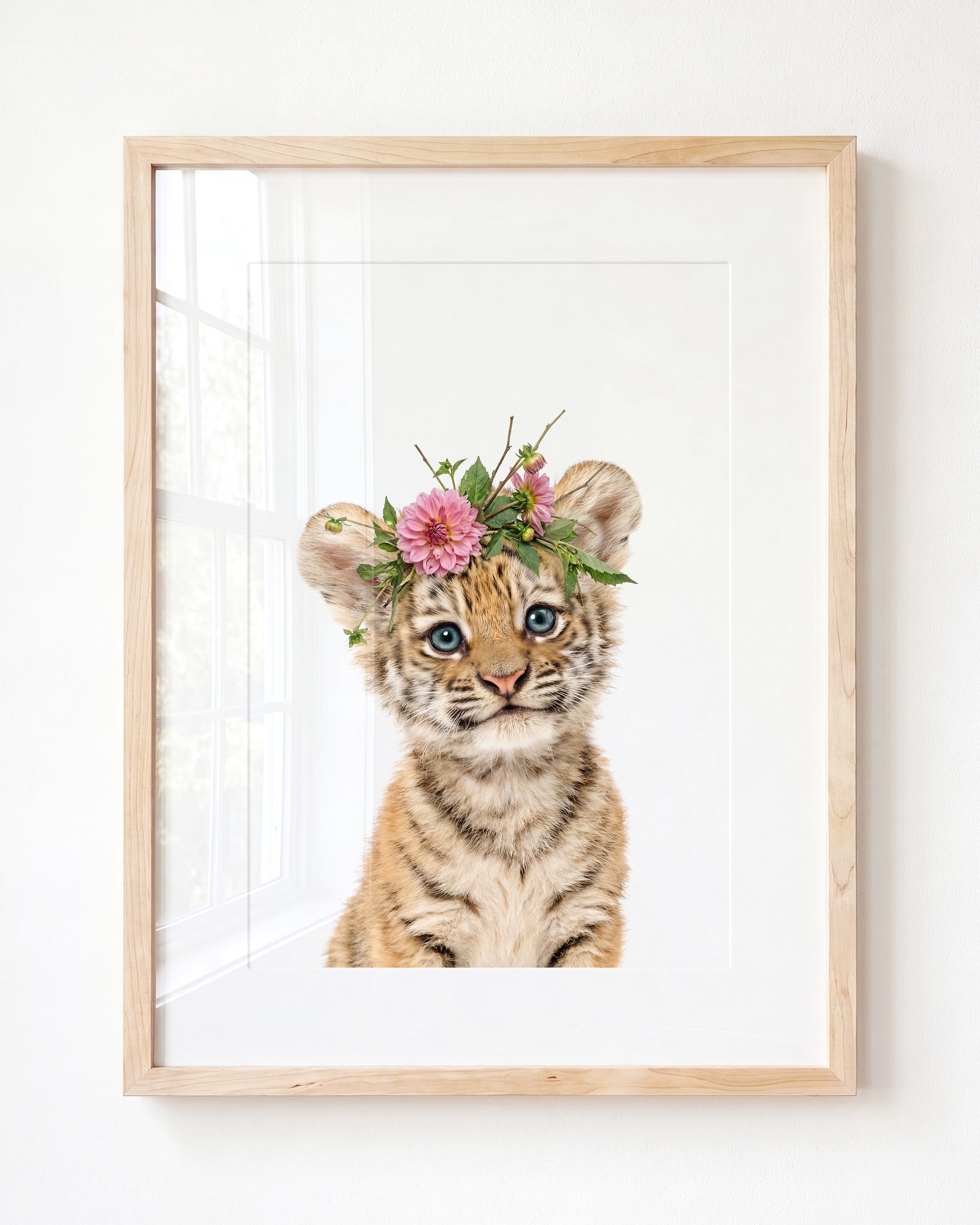 Baby Tiger