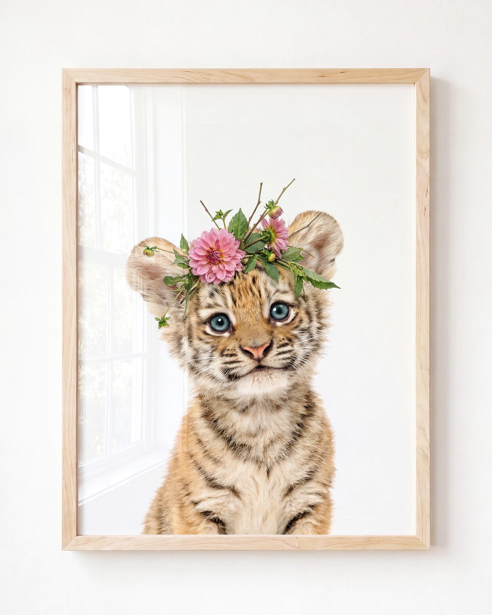 Baby Tiger