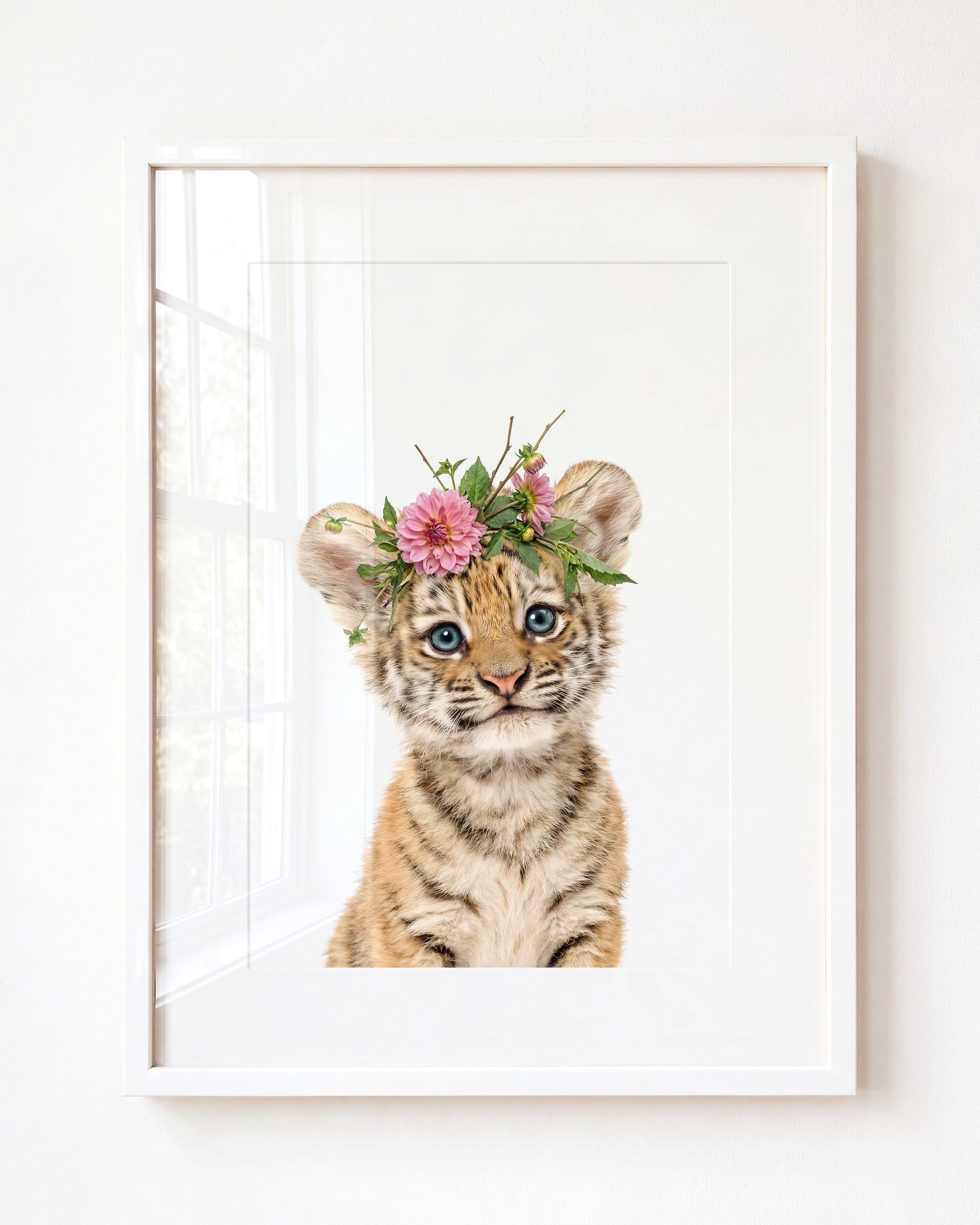 Baby Tiger