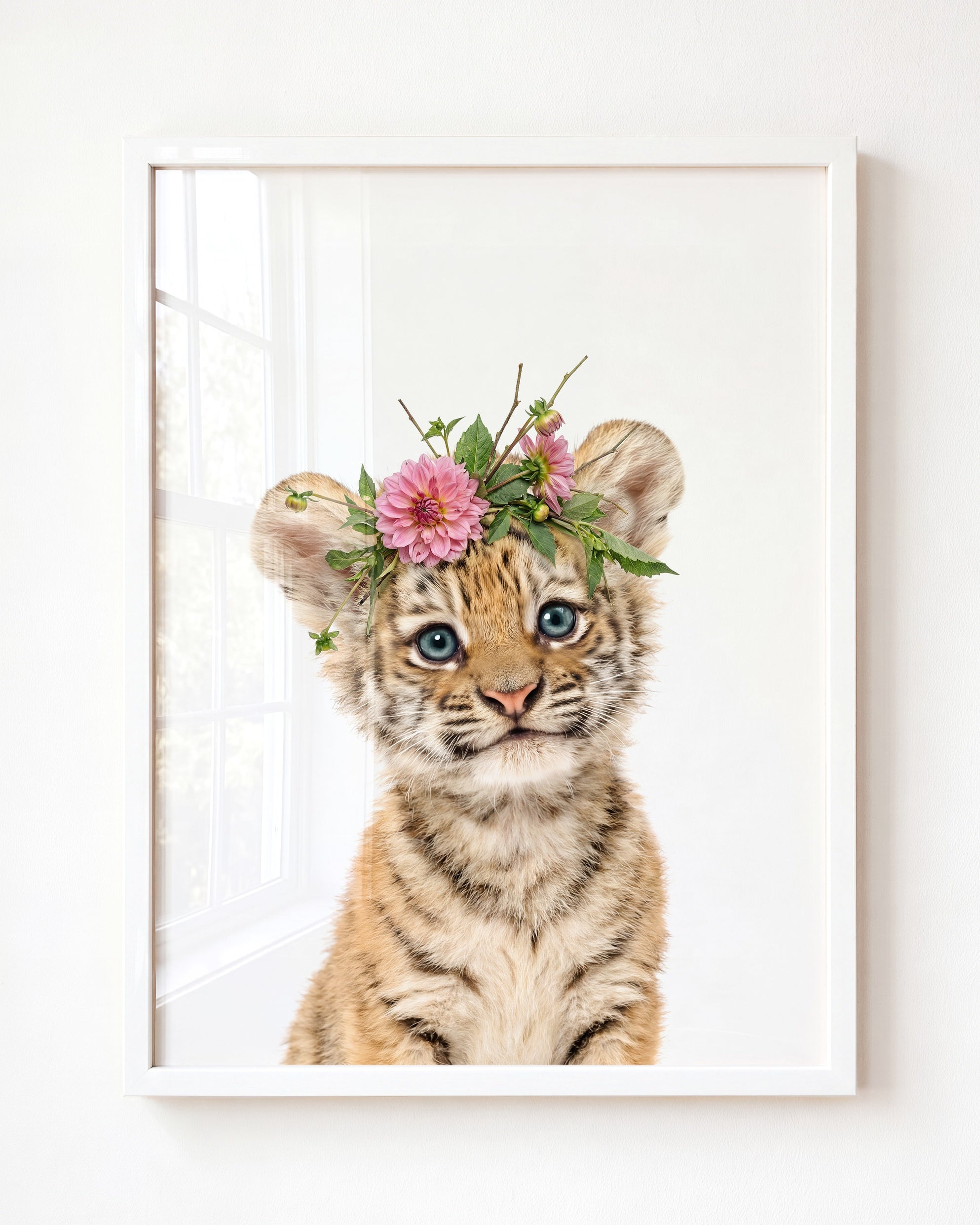 Baby Tiger