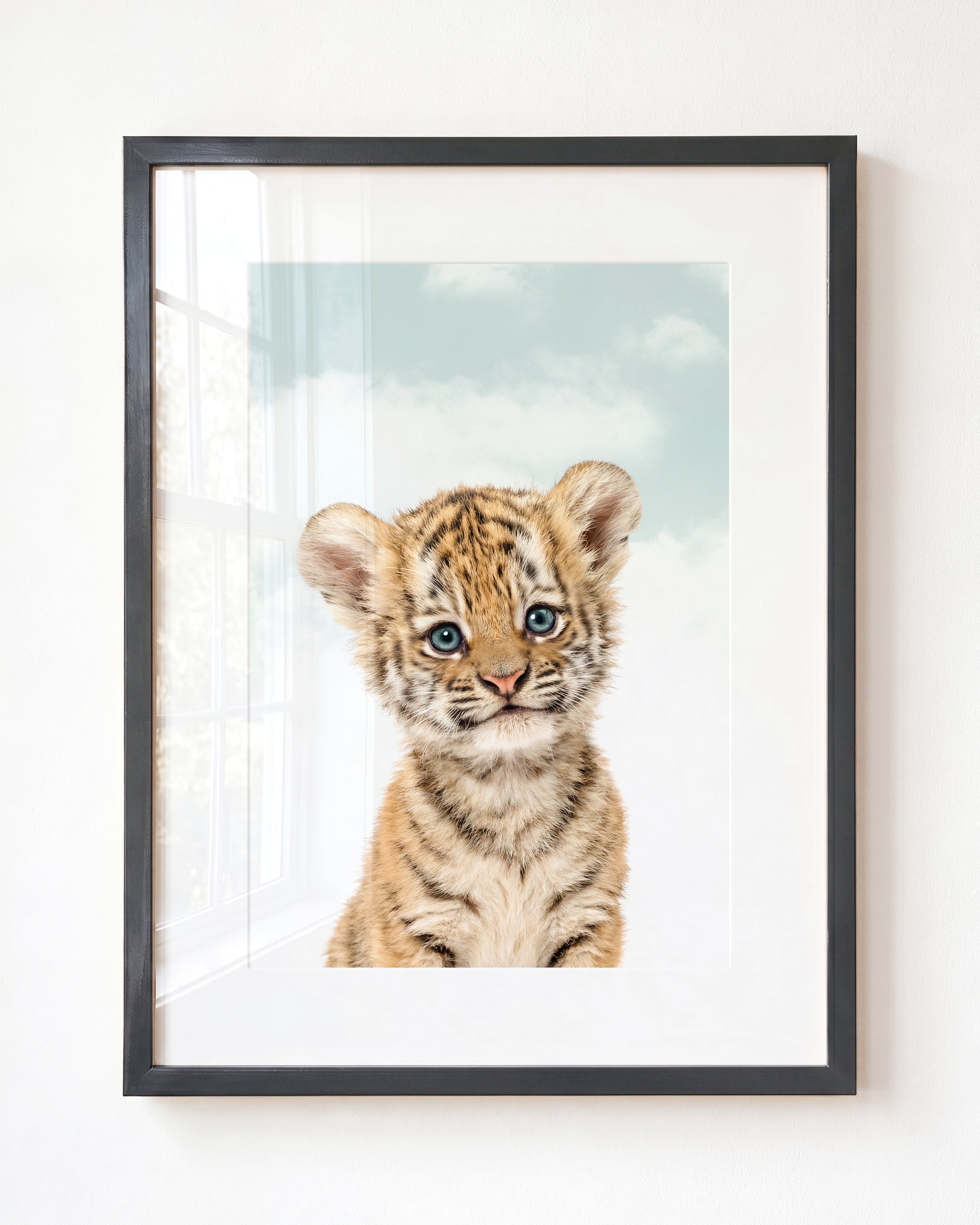 Baby Tiger