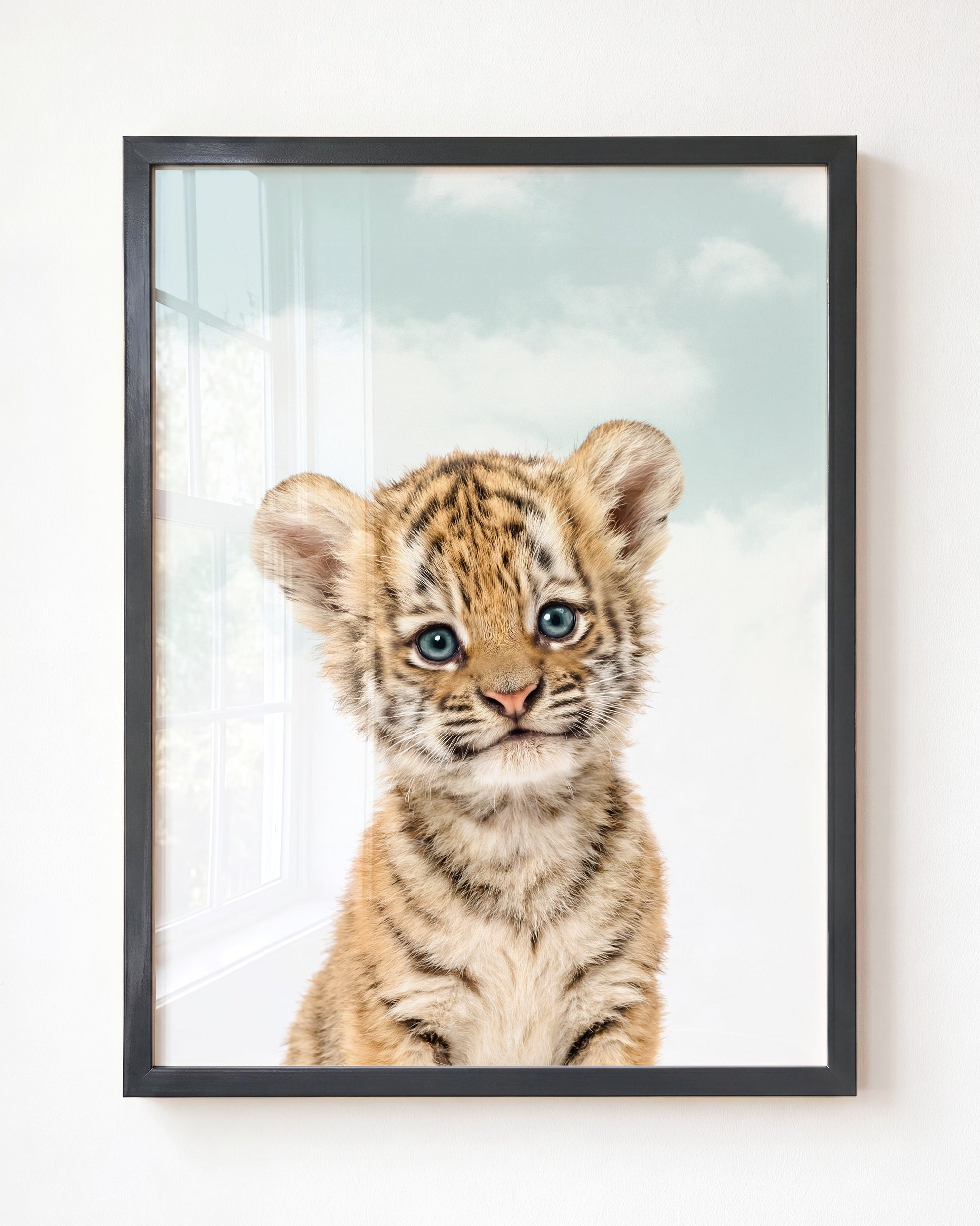 Baby Tiger
