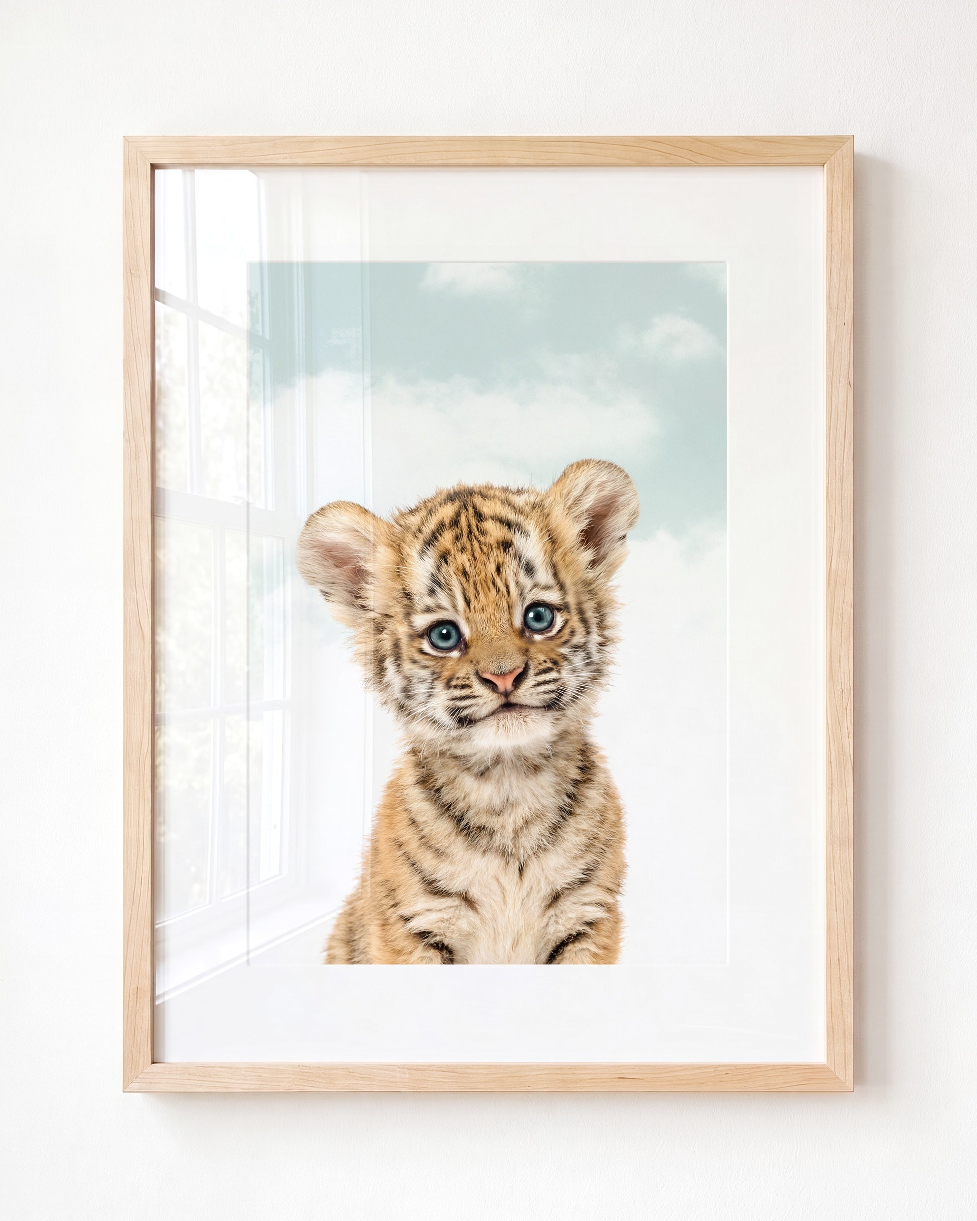 Baby Tiger